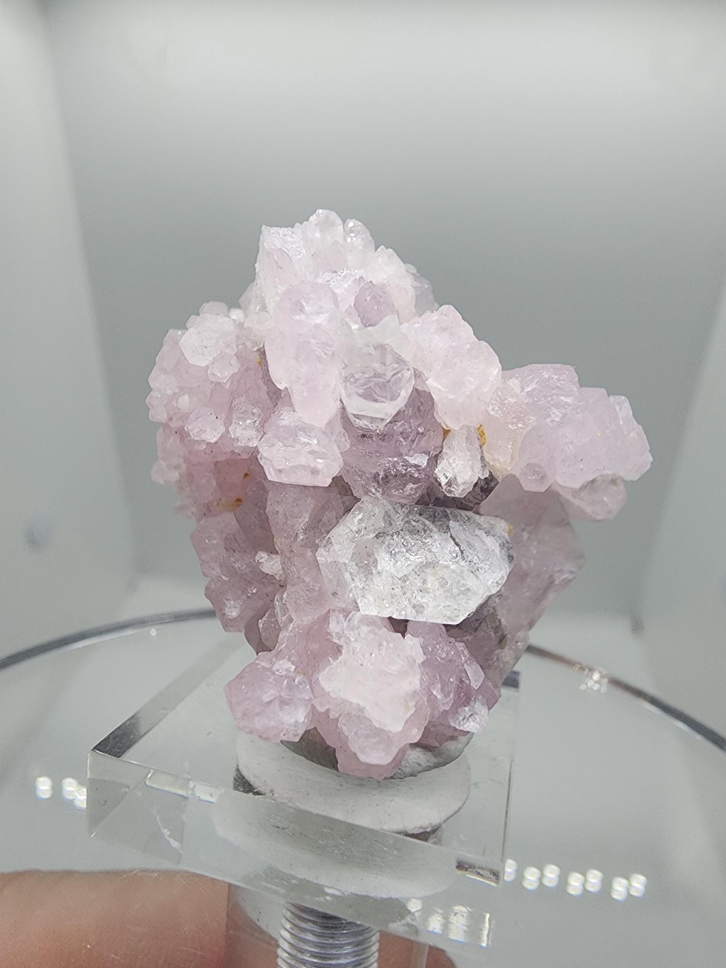 Pitorra Mine Elestial Rose Quartz from Brazil