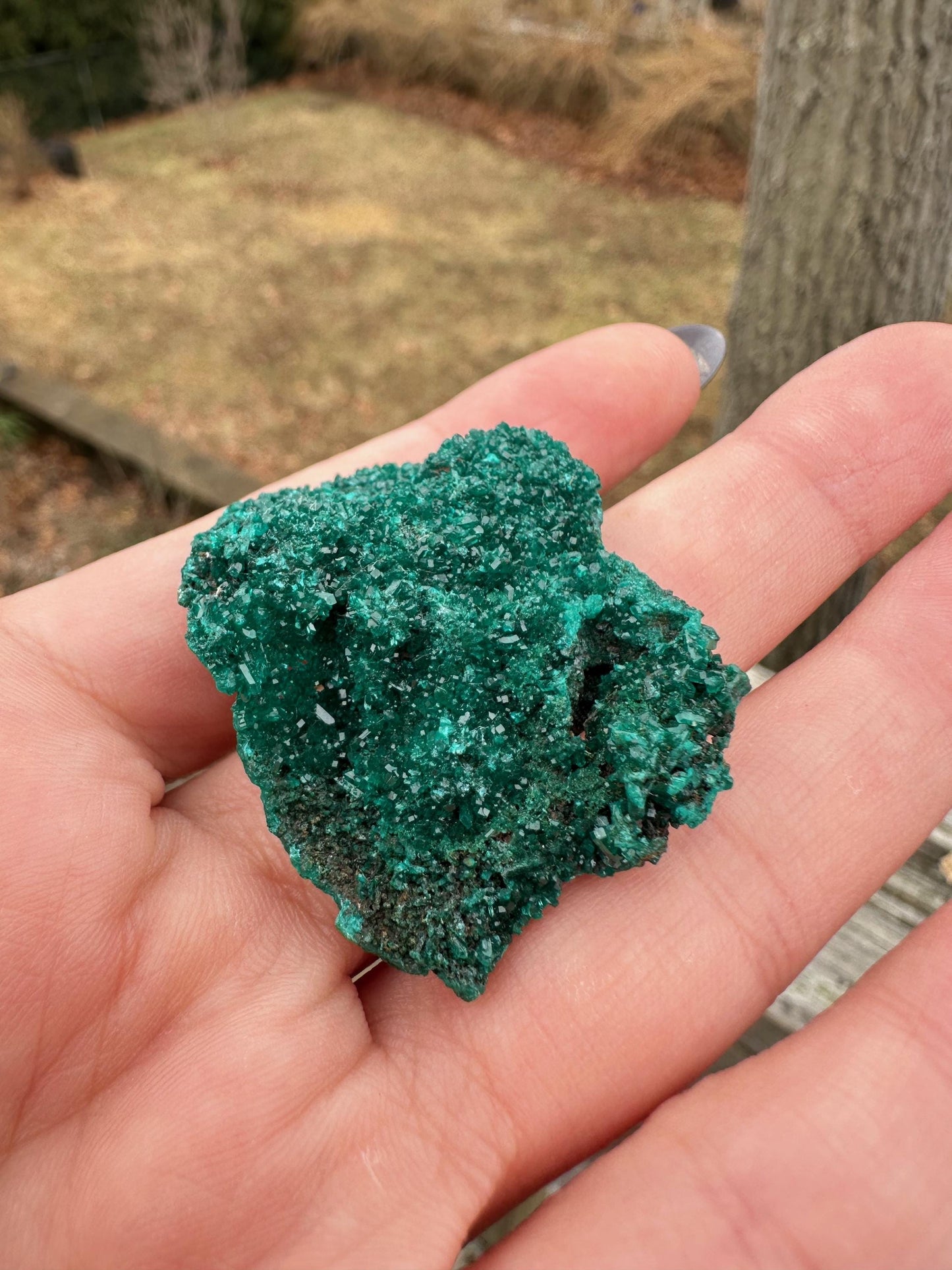 Dioptase Crystals from Congo