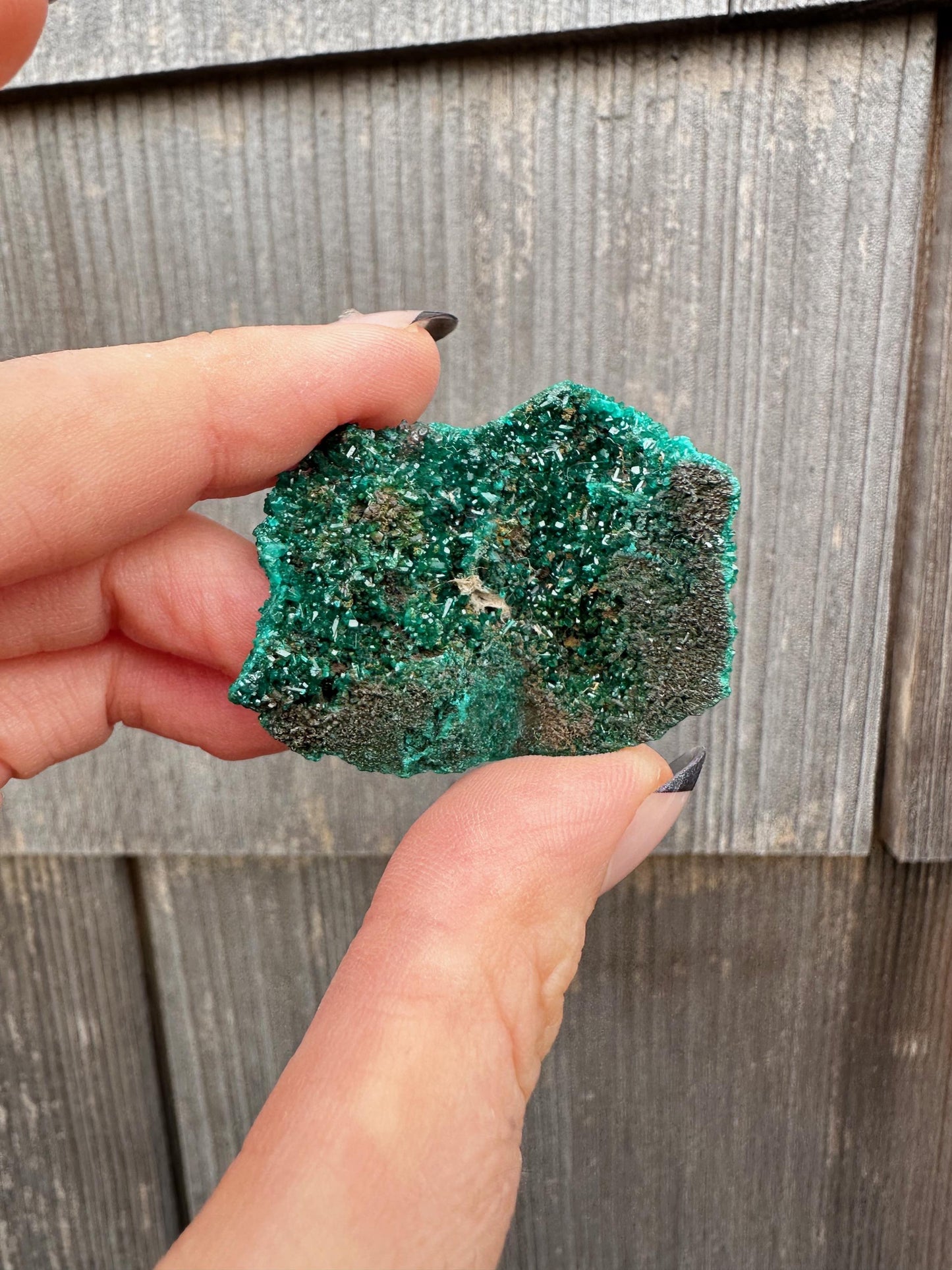 Dioptase Crystals from Congo