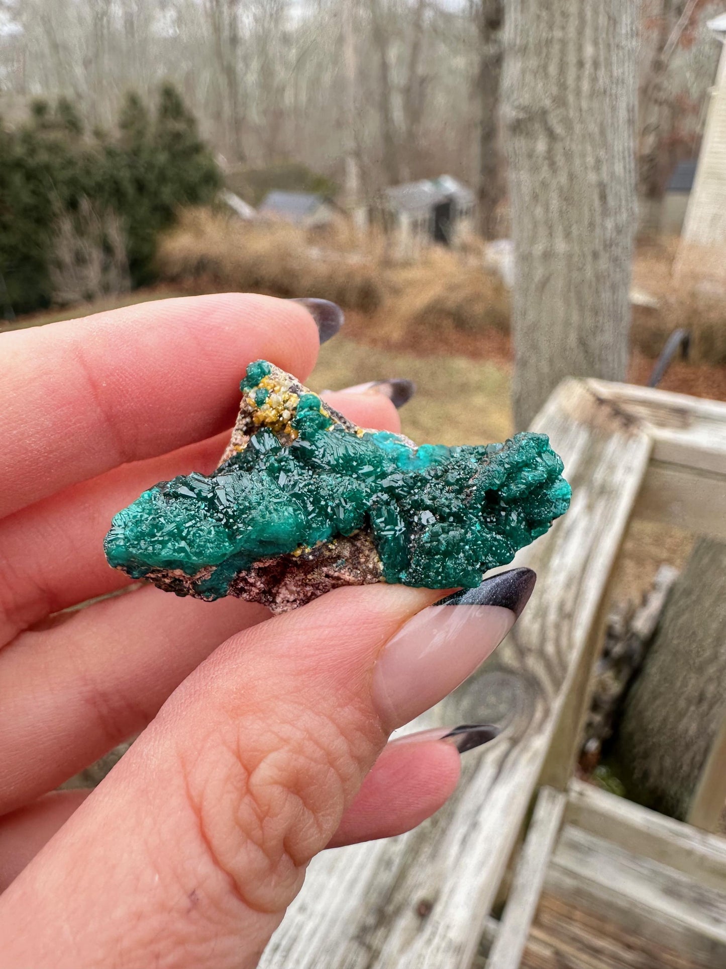 Dioptase with Mimetite from Congo