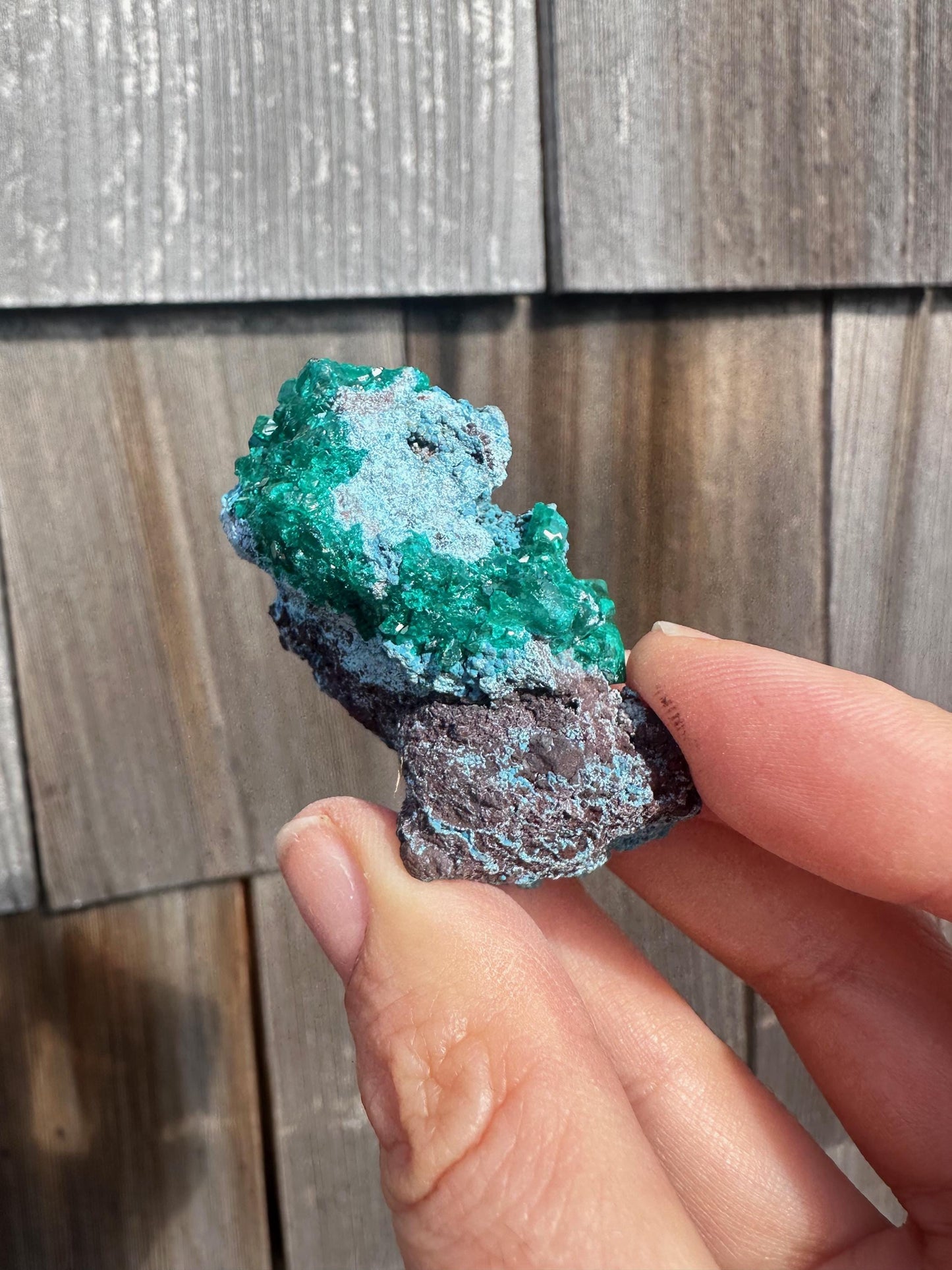 Dioptase with Shattuckite from Congo