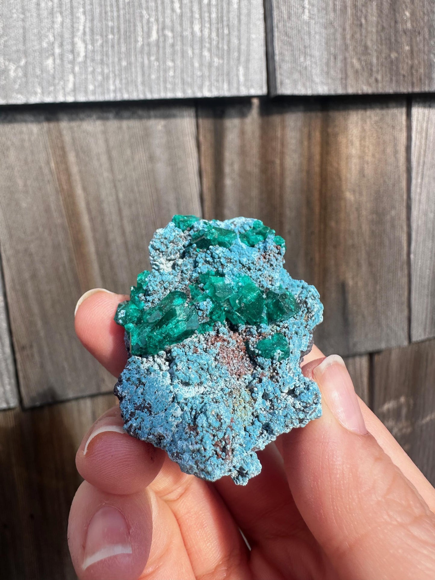 Dioptase with Shattuckite from Congo