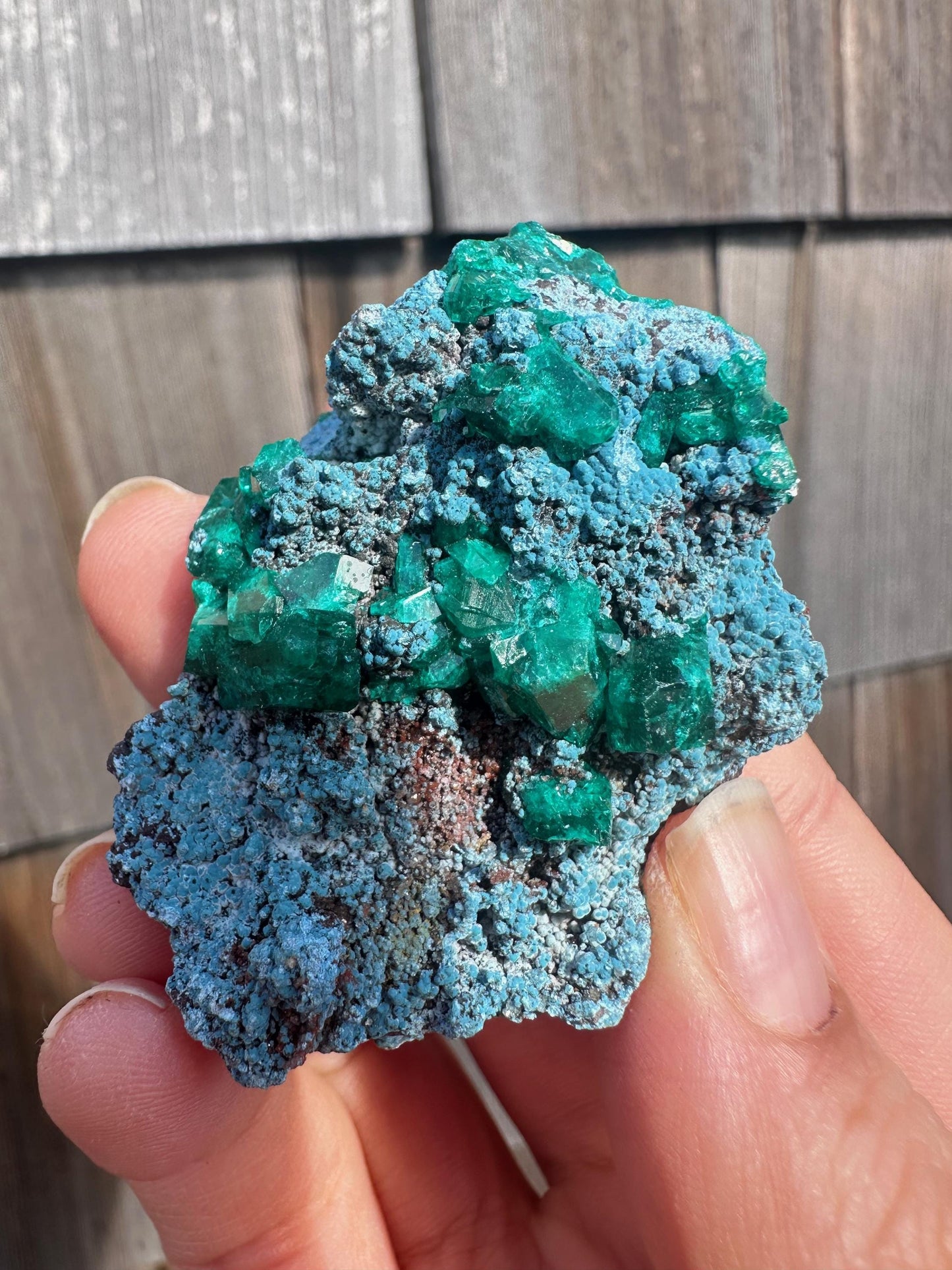 Dioptase with Shattuckite from Congo