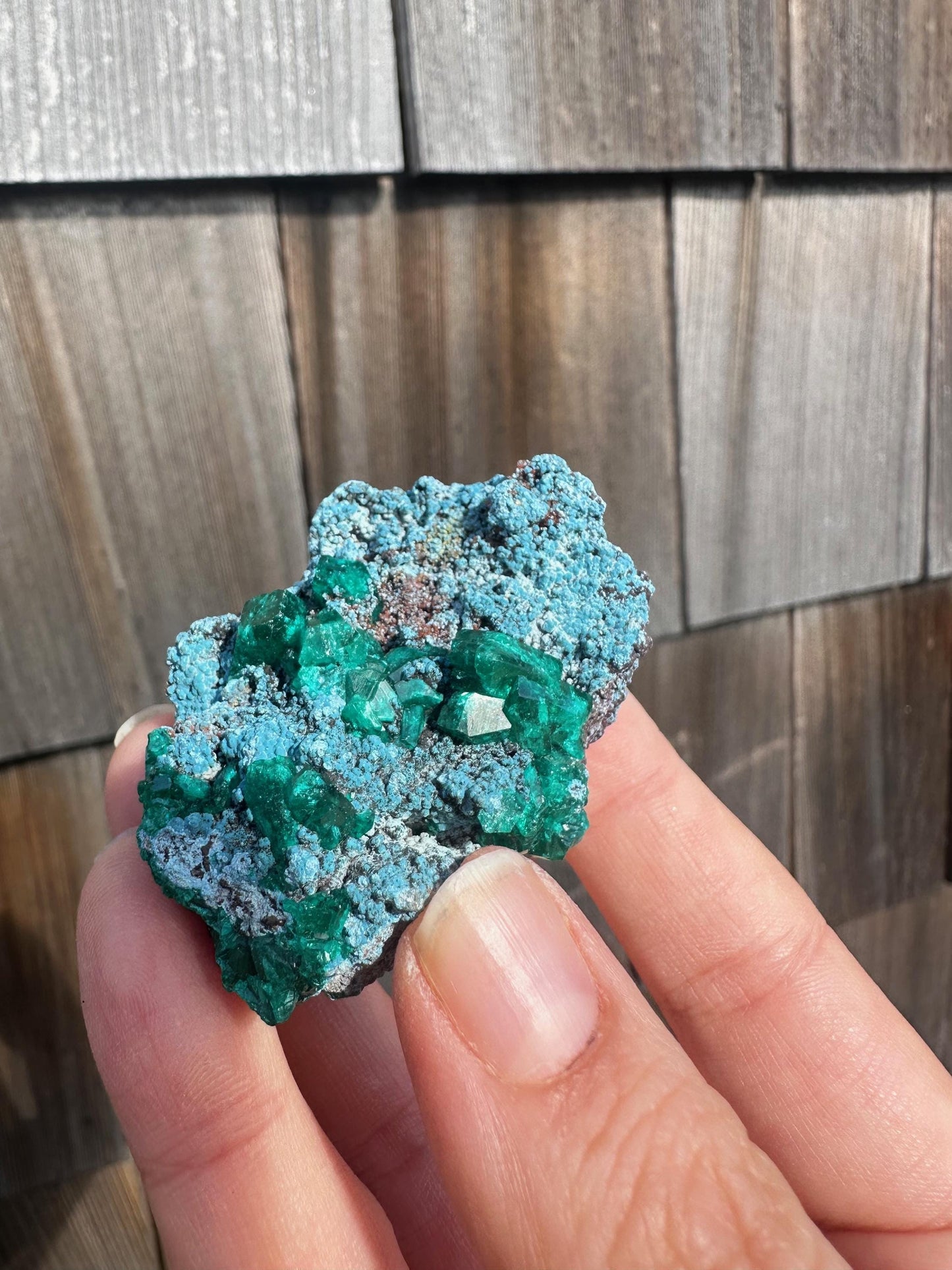 Dioptase with Shattuckite from Congo