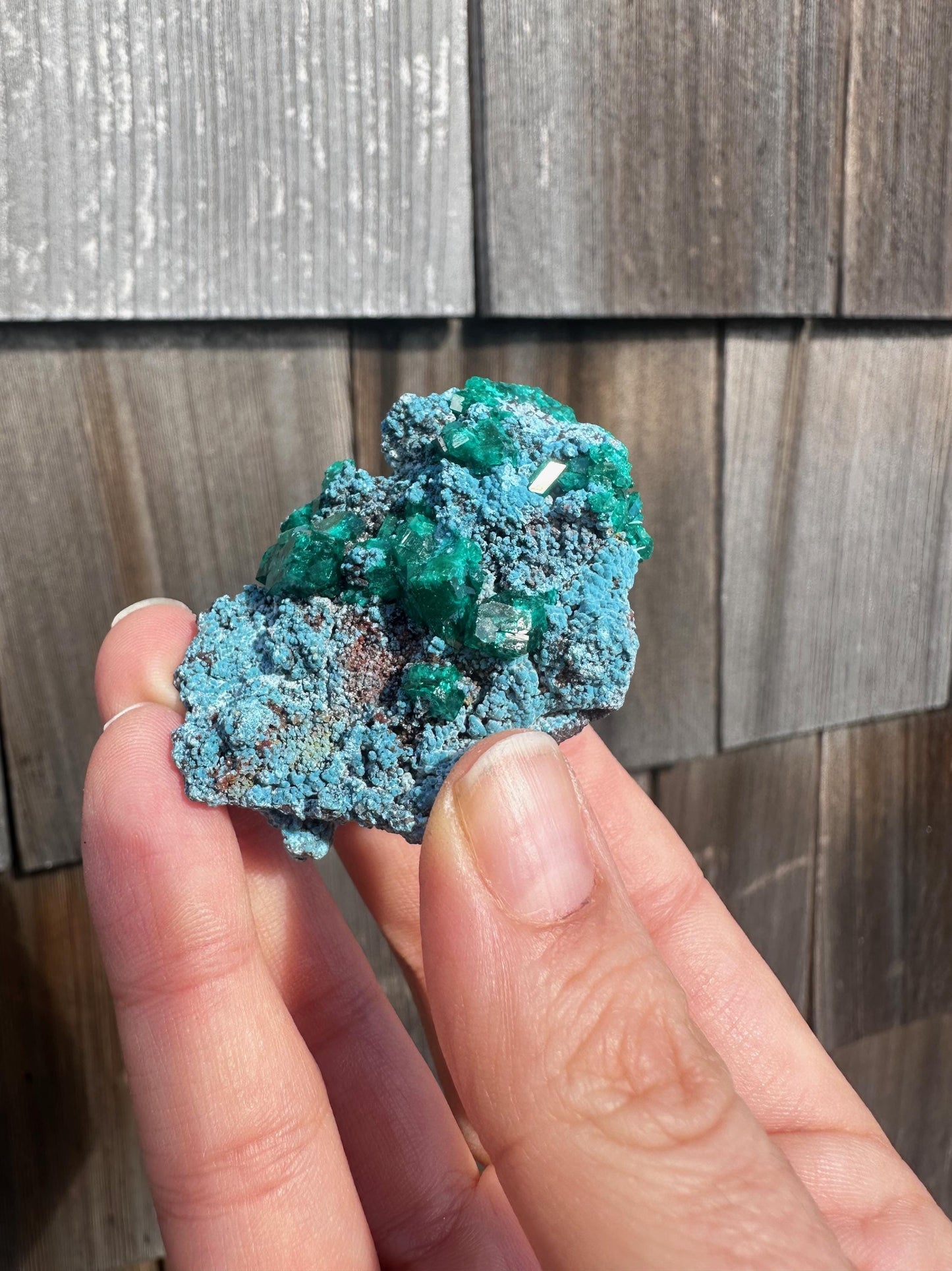 Dioptase with Shattuckite from Congo
