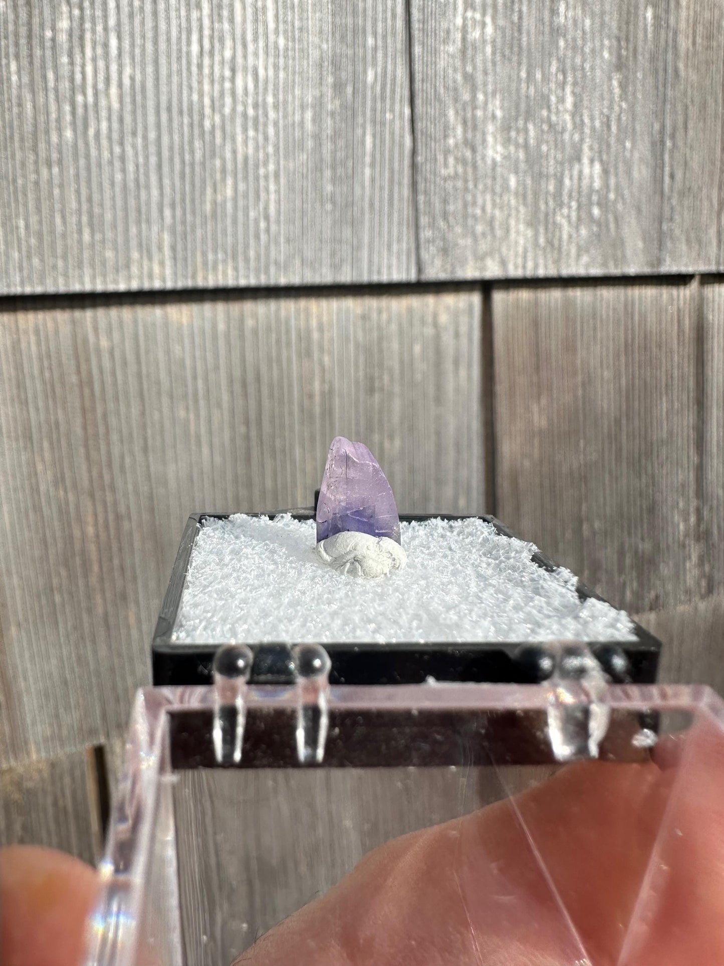 Terminated Tanzanite Crystal from Tanzania