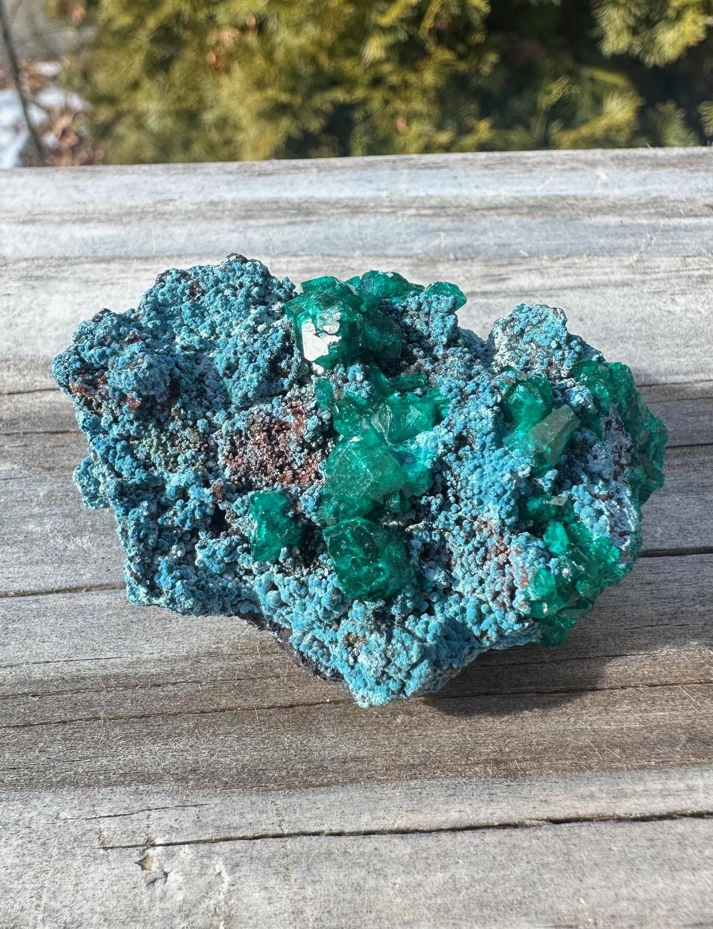 Dioptase with Shattuckite from Congo
