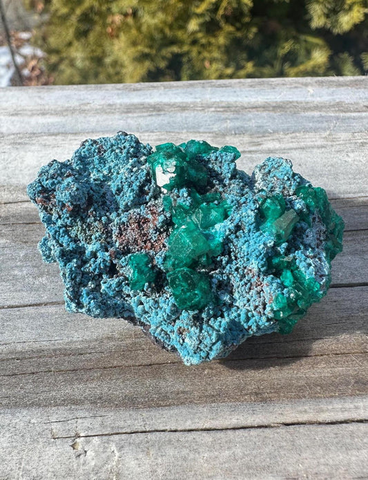 Dioptase with Shattuckite from Congo