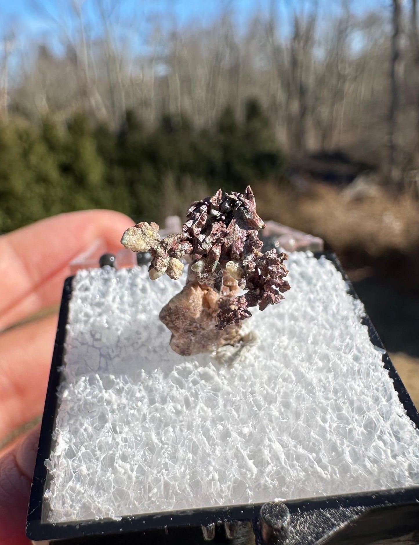 Native Copper from Ray Mine Arizona USA