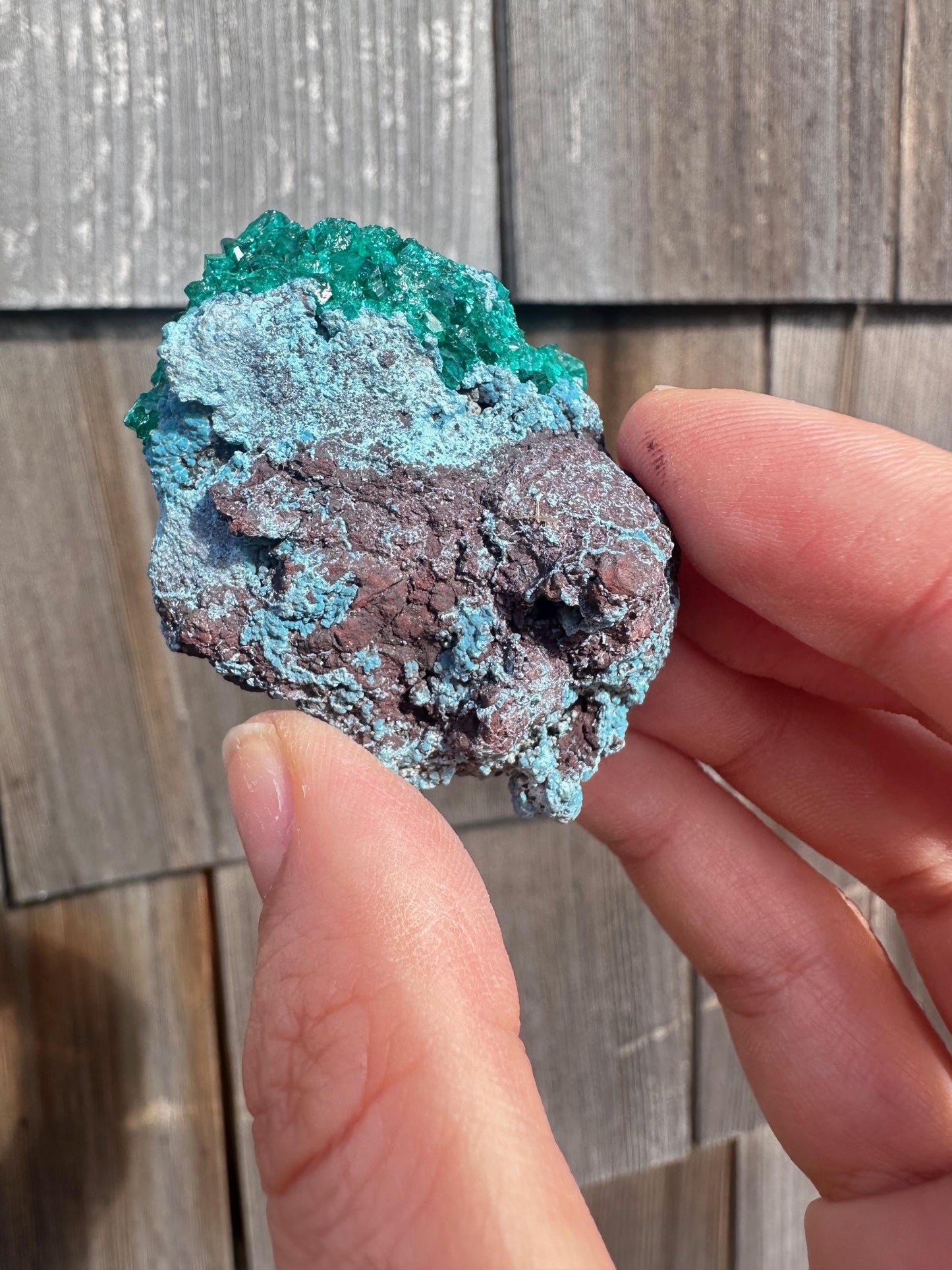 Dioptase with Shattuckite from Congo