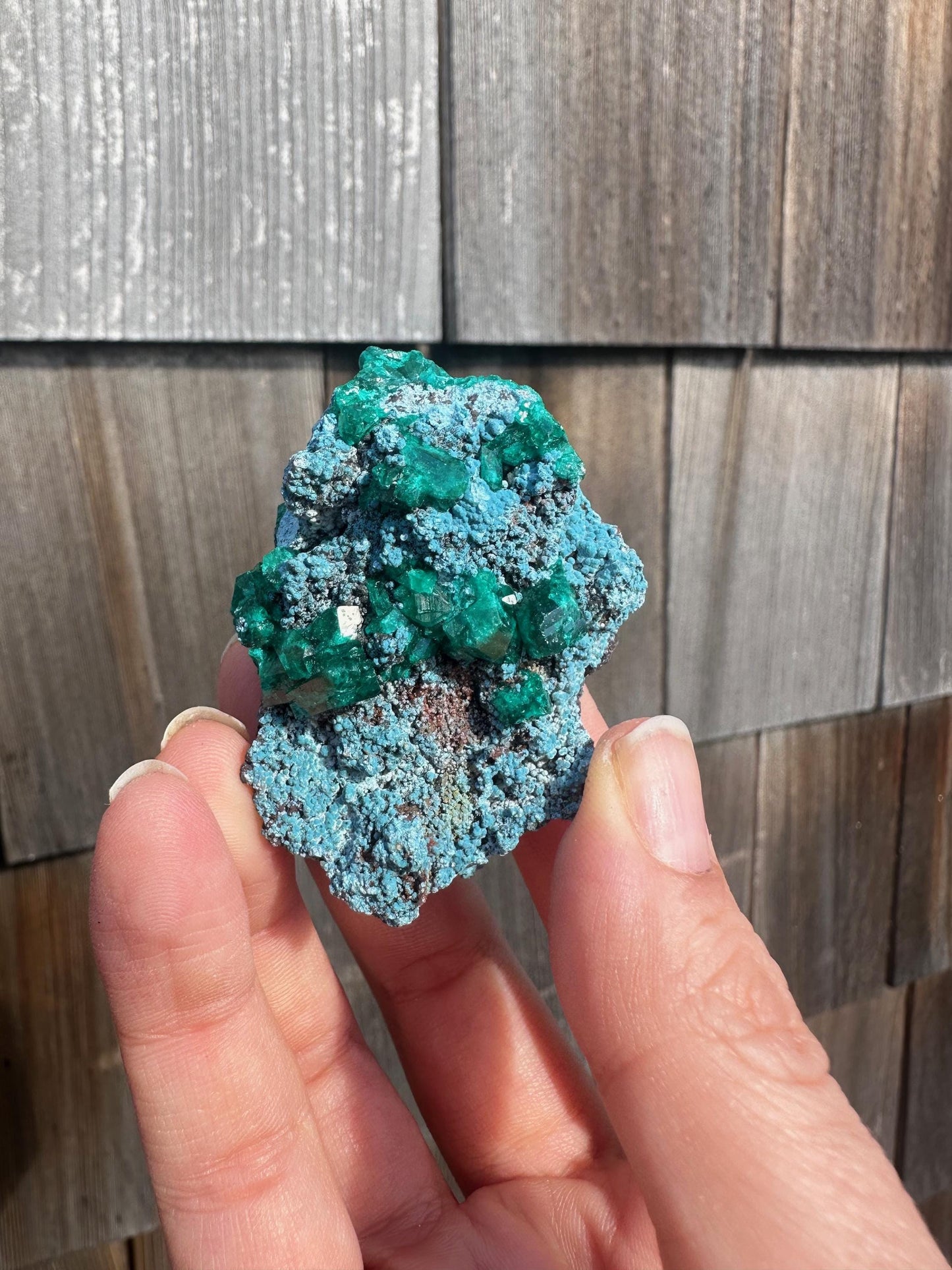 Dioptase with Shattuckite from Congo