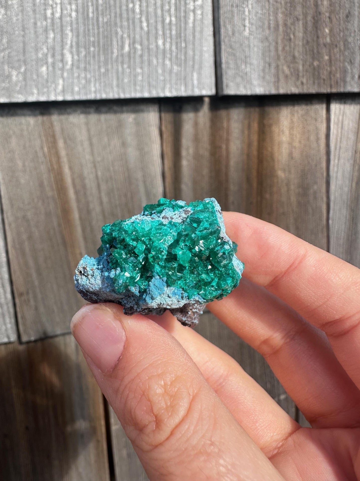 Dioptase with Shattuckite from Congo