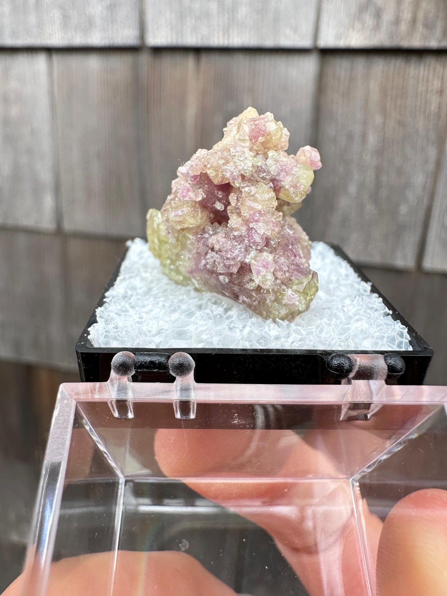 Bicolor Vesuvianite Crystal Cluster from Jeffrey Mine Canada