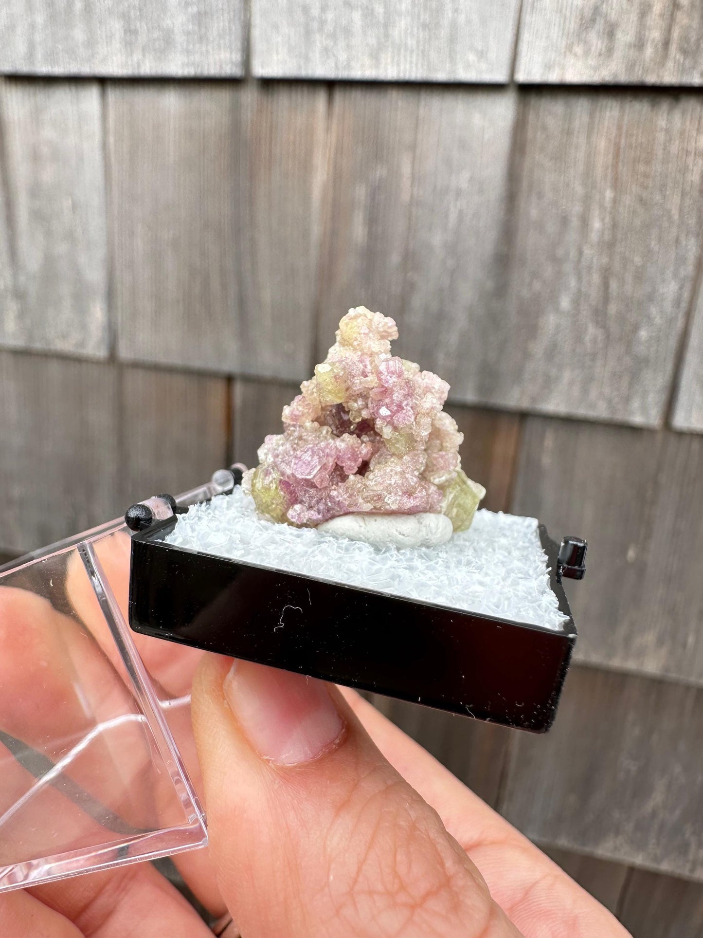 Bicolor Vesuvianite Crystal Cluster from Jeffrey Mine Canada