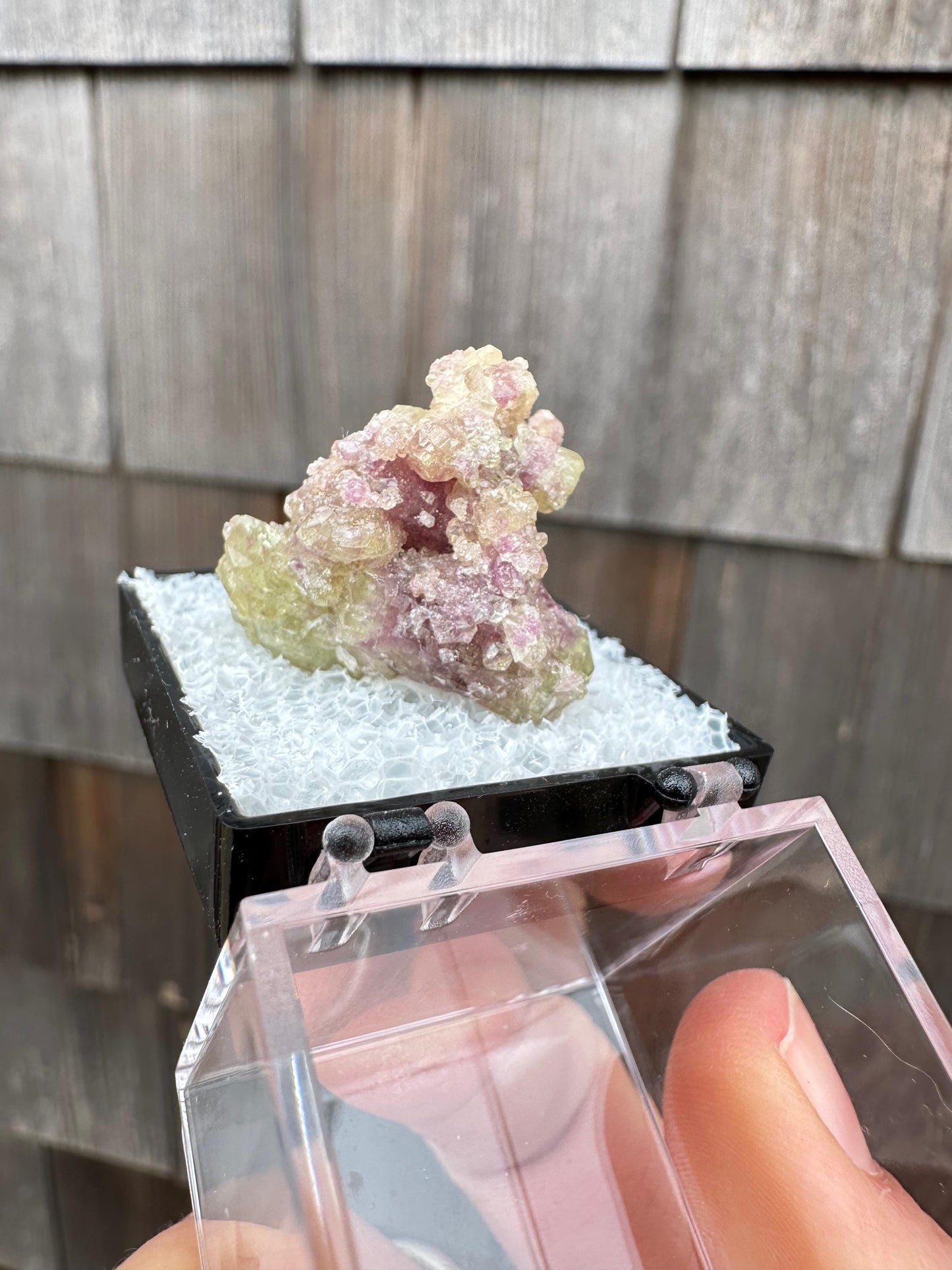 Bicolor Vesuvianite Crystal Cluster from Jeffrey Mine Canada