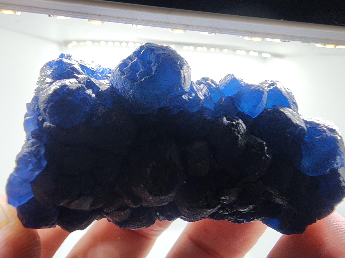 Blueberry Fluorite on Cactus Quartz Point from Huanggangliang, Inner Mongolia, China