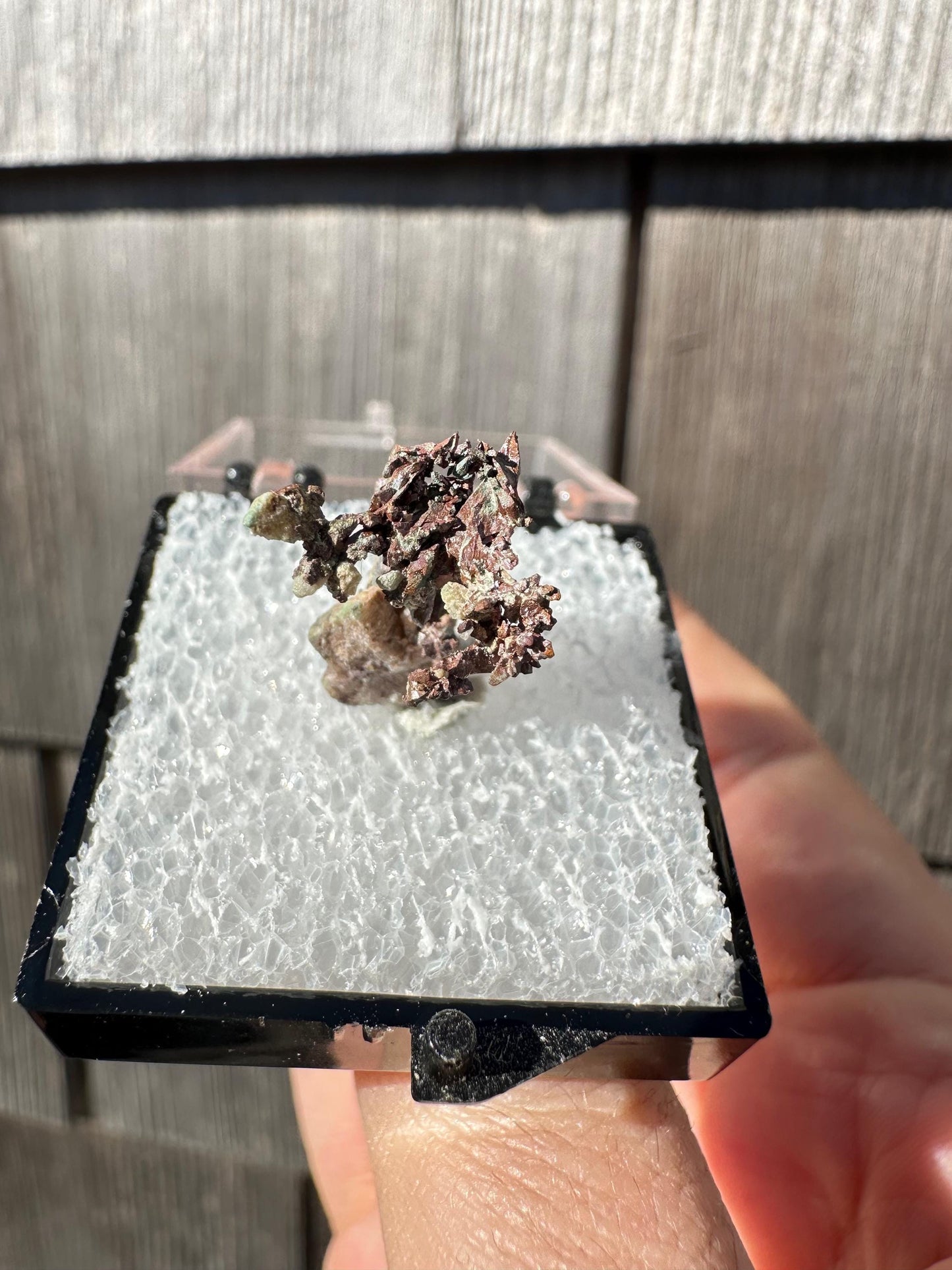 Native Copper from Ray Mine Arizona USA