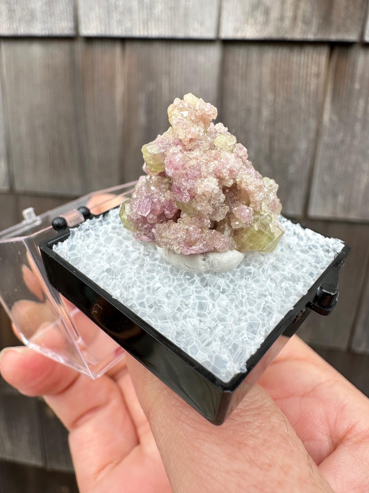 Bicolor Vesuvianite Crystal Cluster from Jeffrey Mine Canada