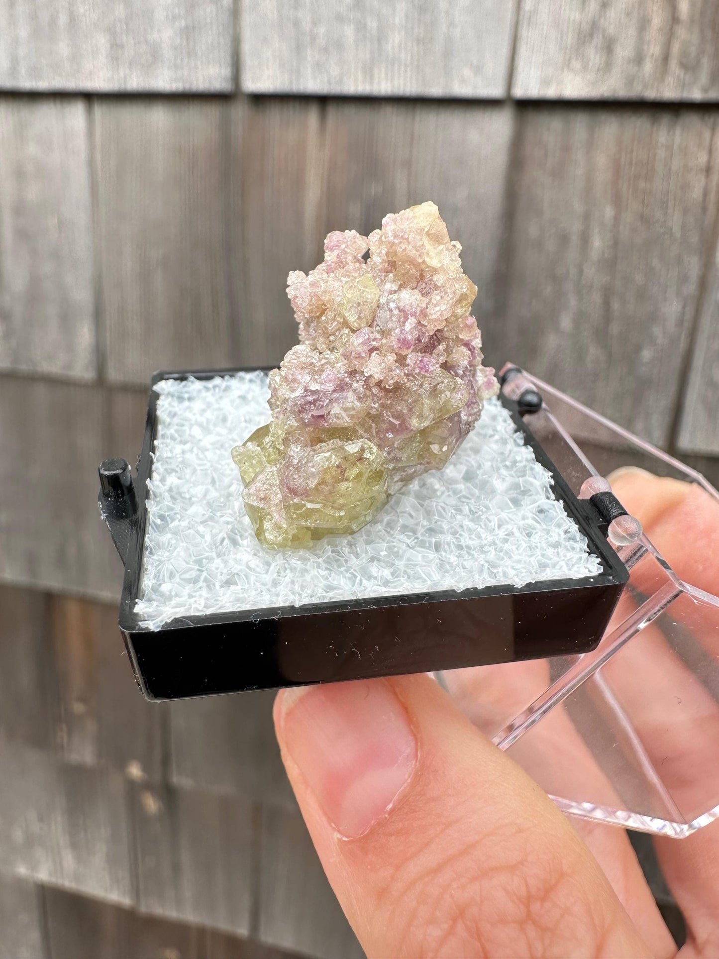 Bicolor Vesuvianite Crystal Cluster from Jeffrey Mine Canada