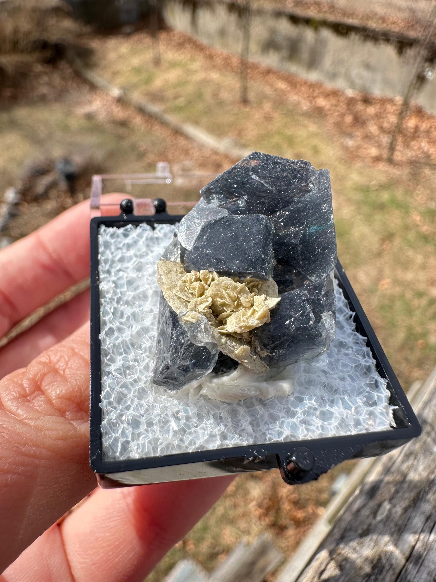 YGX Bismuthinite in Fluorite from China