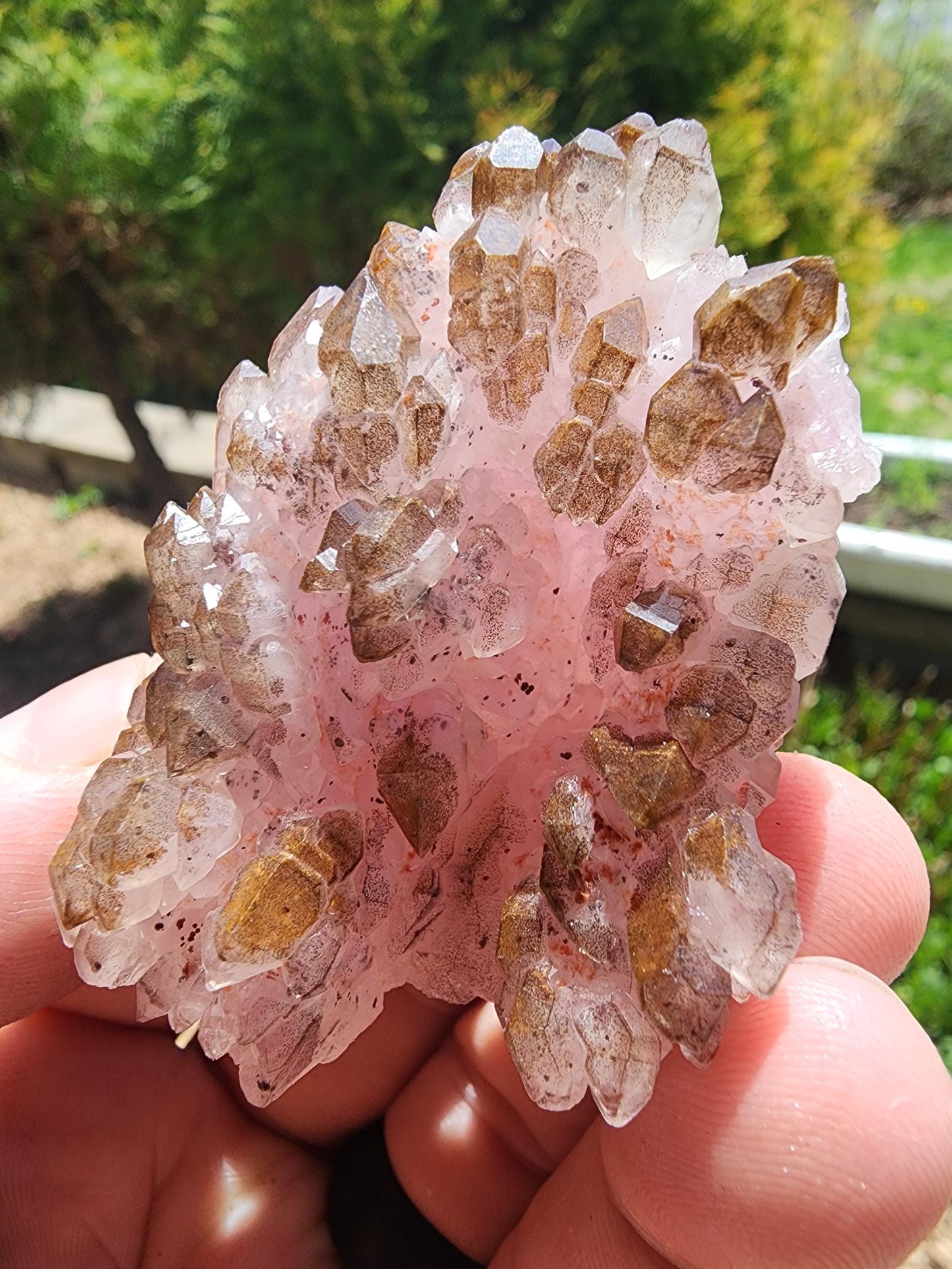 Crystallized Elestial Rose Quartz from Pitorra Mine, Brazil