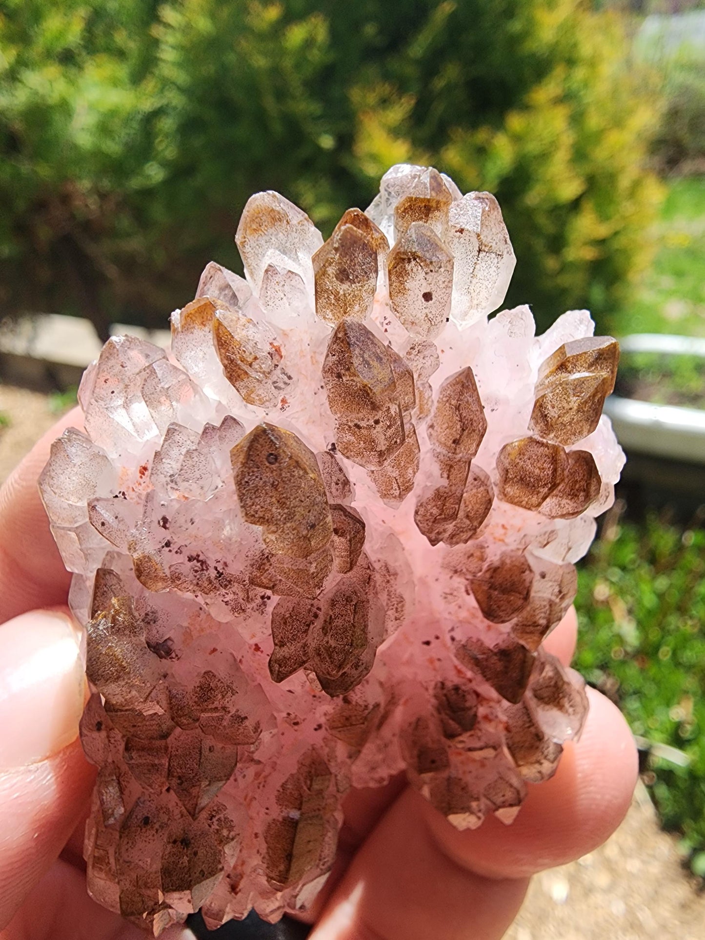 Crystallized Elestial Rose Quartz from Pitorra Mine, Brazil