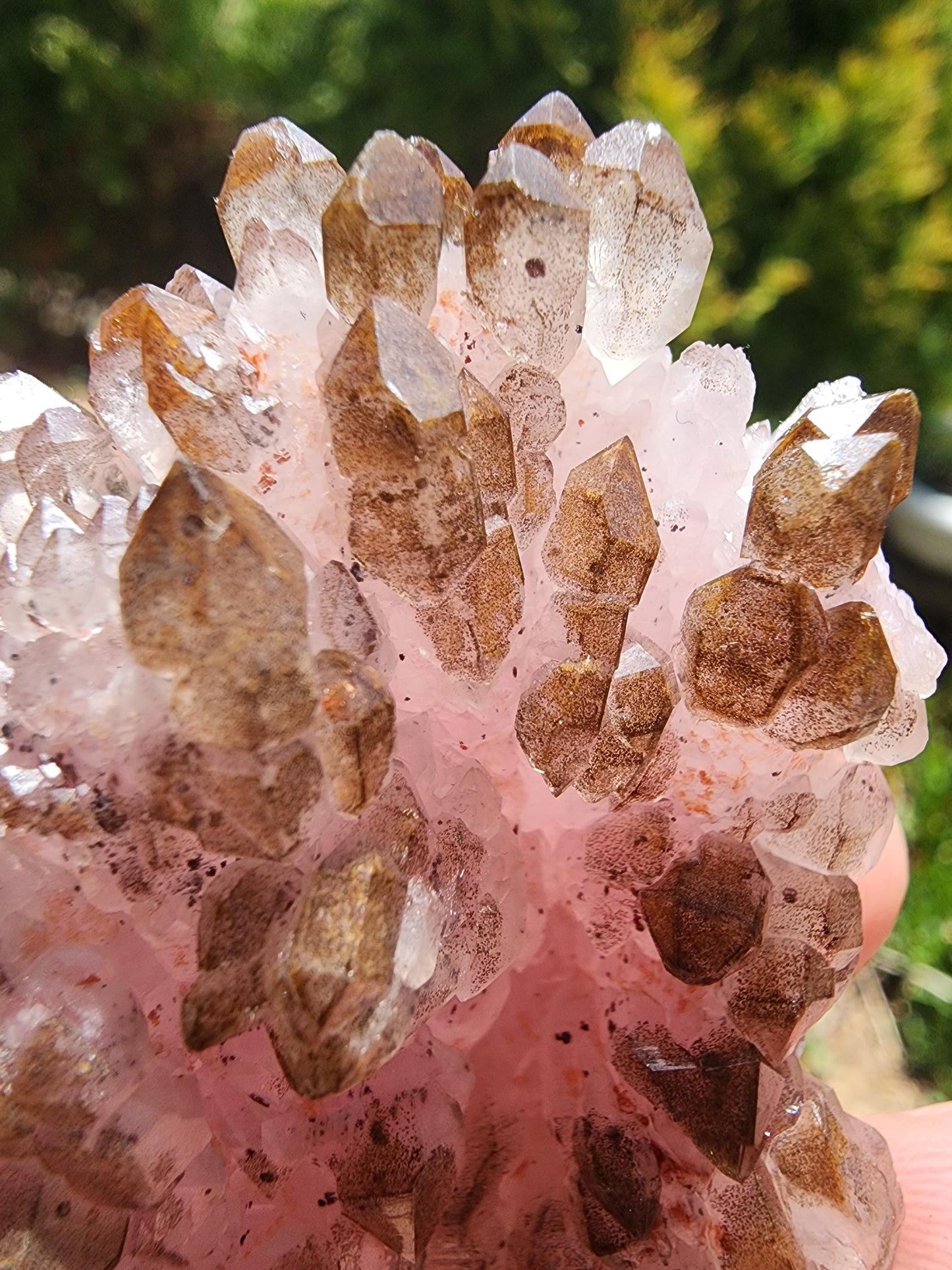 Crystallized Elestial Rose Quartz from Pitorra Mine, Brazil