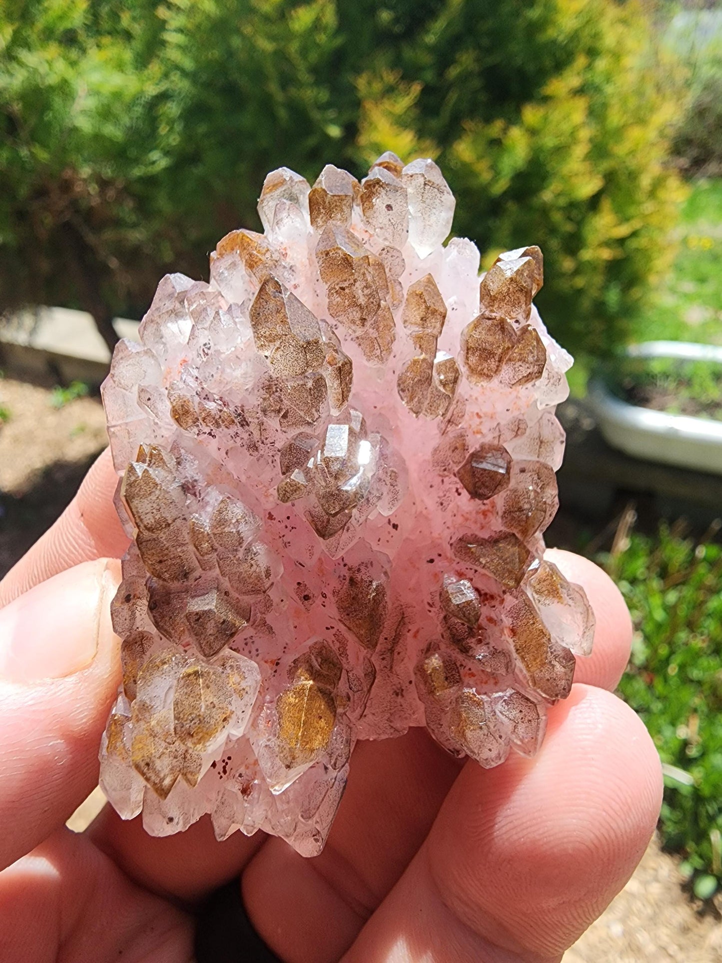 Crystallized Elestial Rose Quartz from Pitorra Mine, Brazil