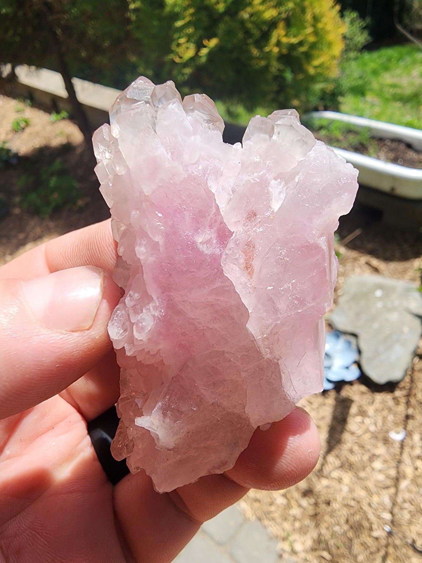 Crystallized Elestial Rose Quartz Cluster on Quartz from Pitorra Mine, Brazil