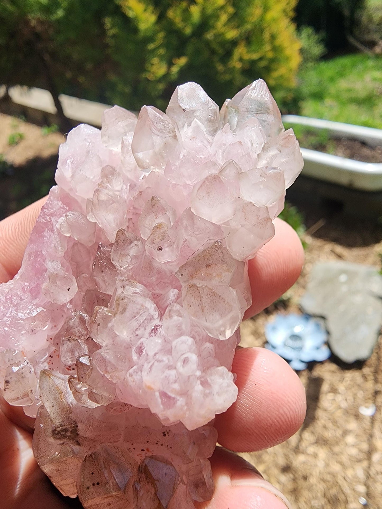 Crystallized Elestial Rose Quartz Cluster on Quartz from Pitorra Mine, Brazil