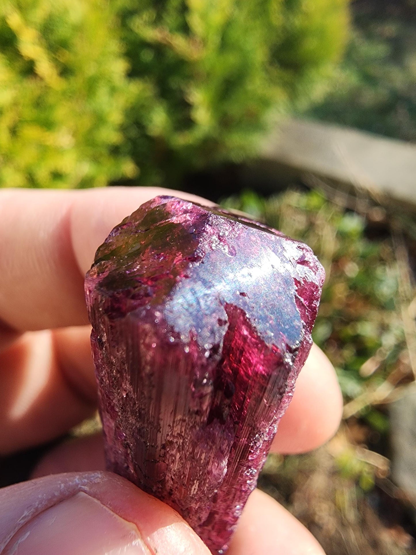 May include: A deep purple, faceted, elongated crystal with a striated texture.