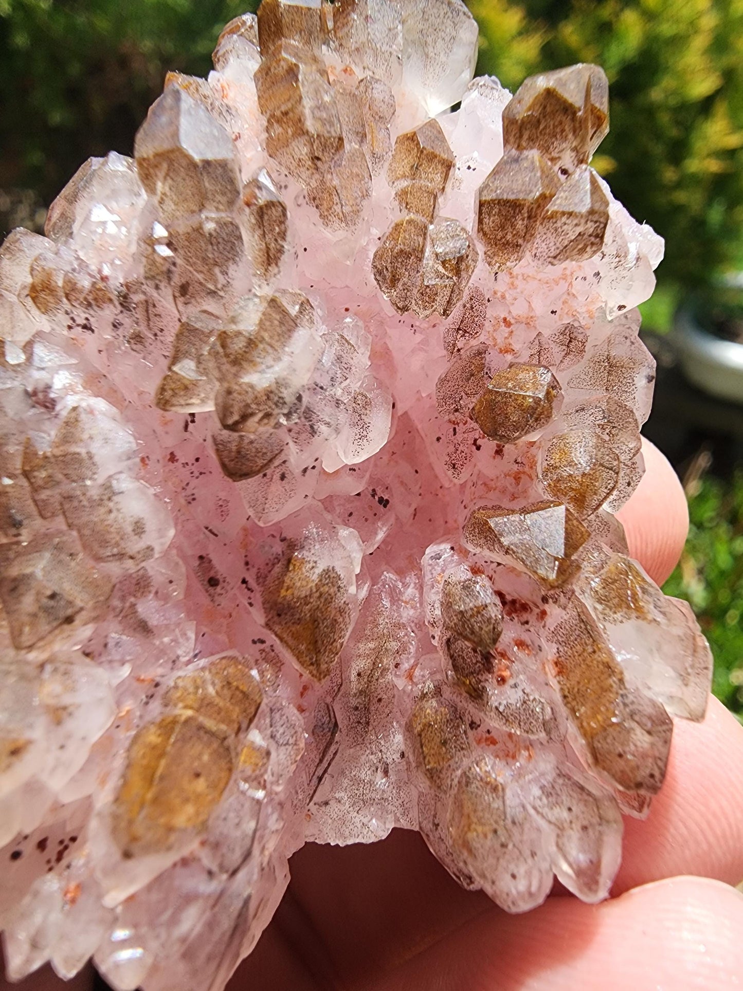 Crystallized Elestial Rose Quartz from Pitorra Mine, Brazil