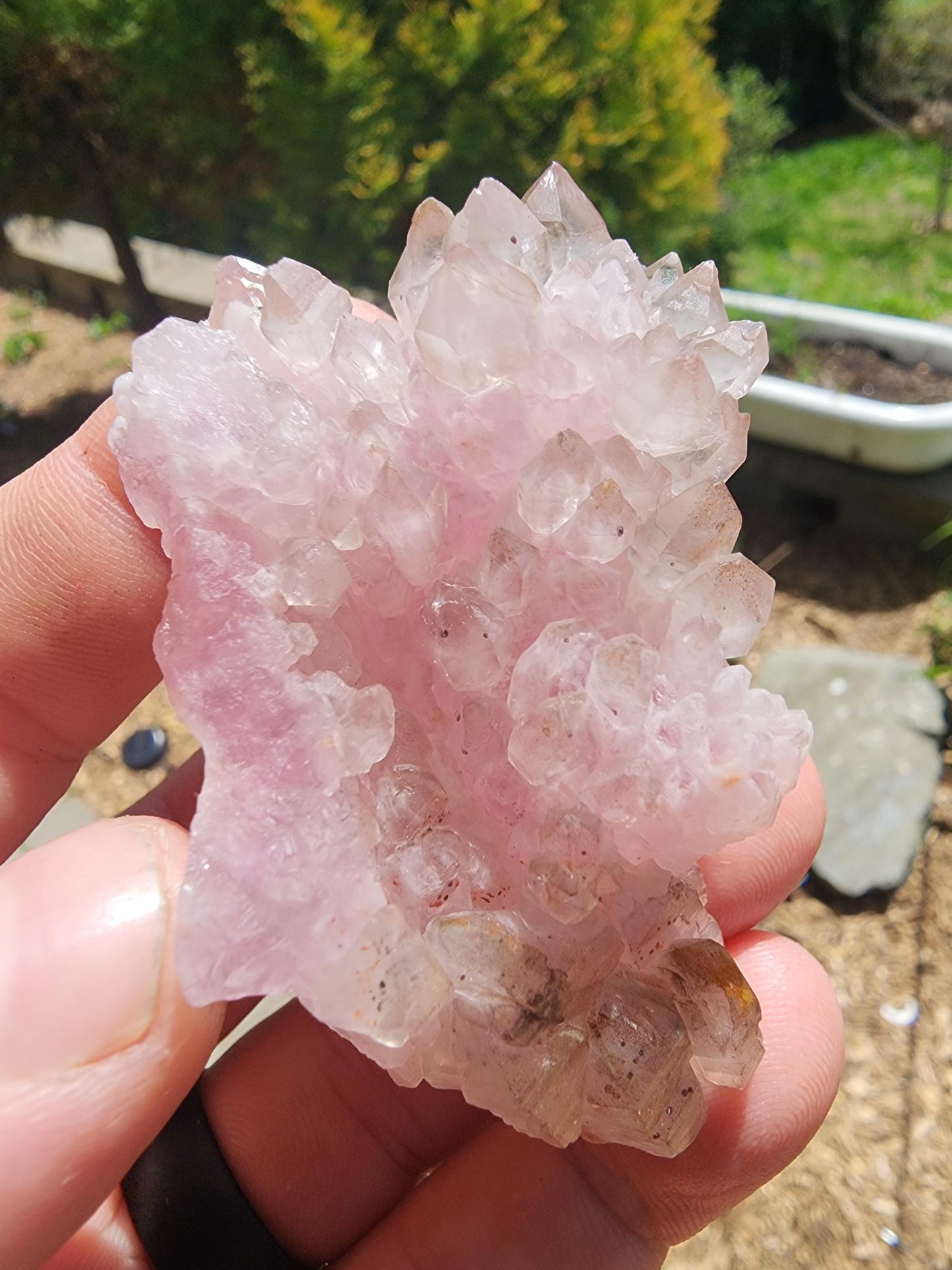 Crystallized Elestial Rose Quartz Cluster on Quartz from Pitorra Mine, Brazil
