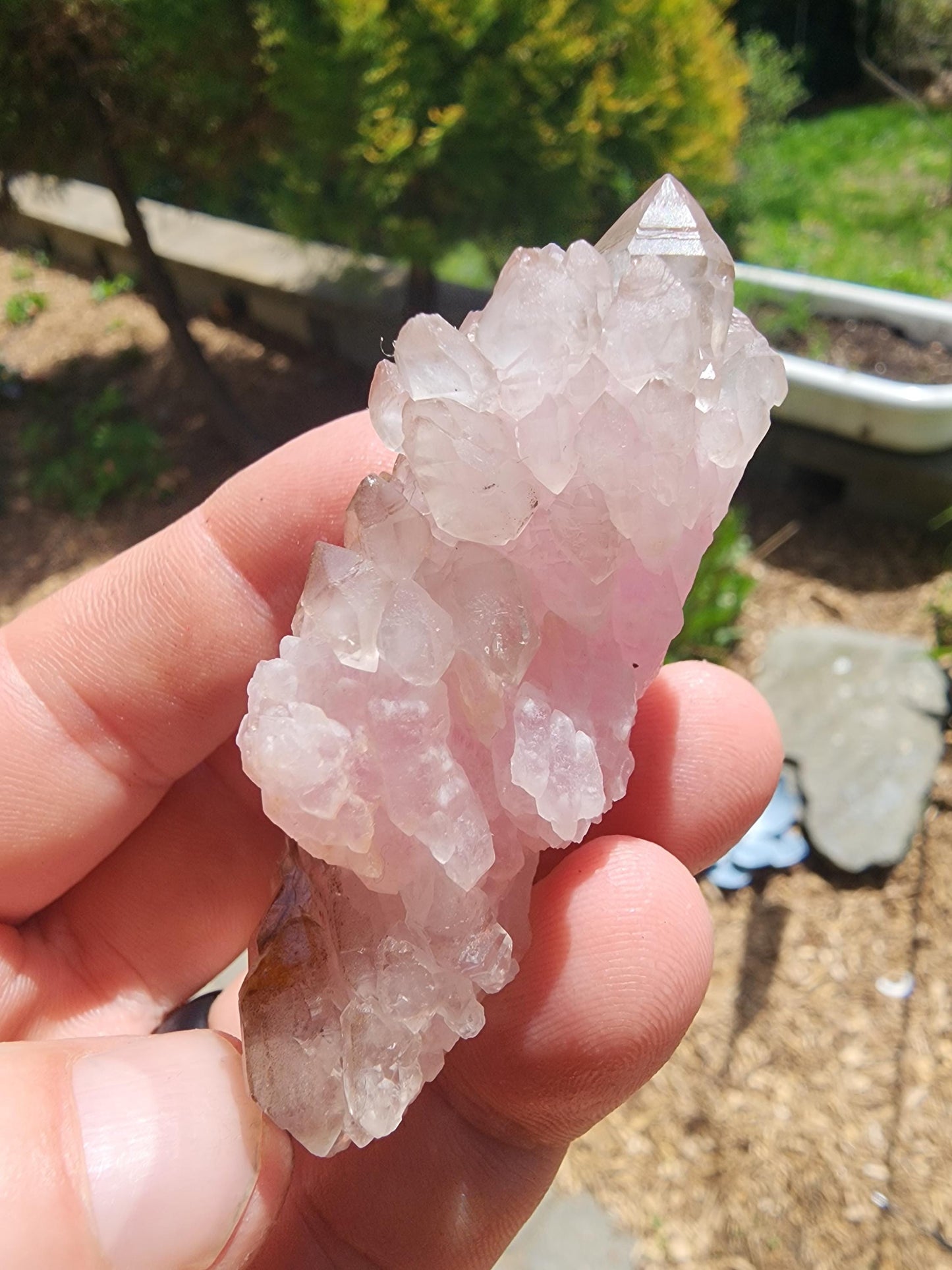 Crystallized Elestial Rose Quartz Cluster on Quartz from Pitorra Mine, Brazil