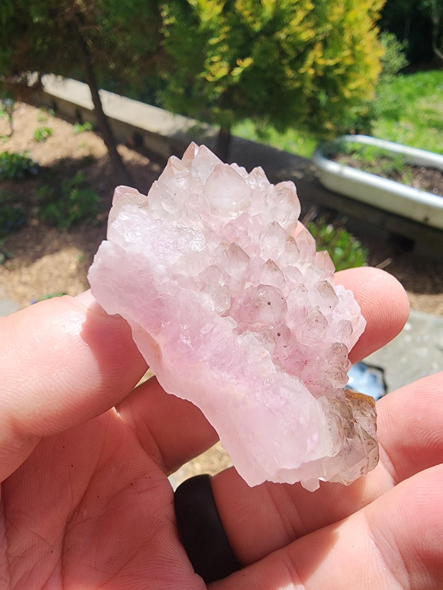 Crystallized Elestial Rose Quartz Cluster on Quartz from Pitorra Mine, Brazil