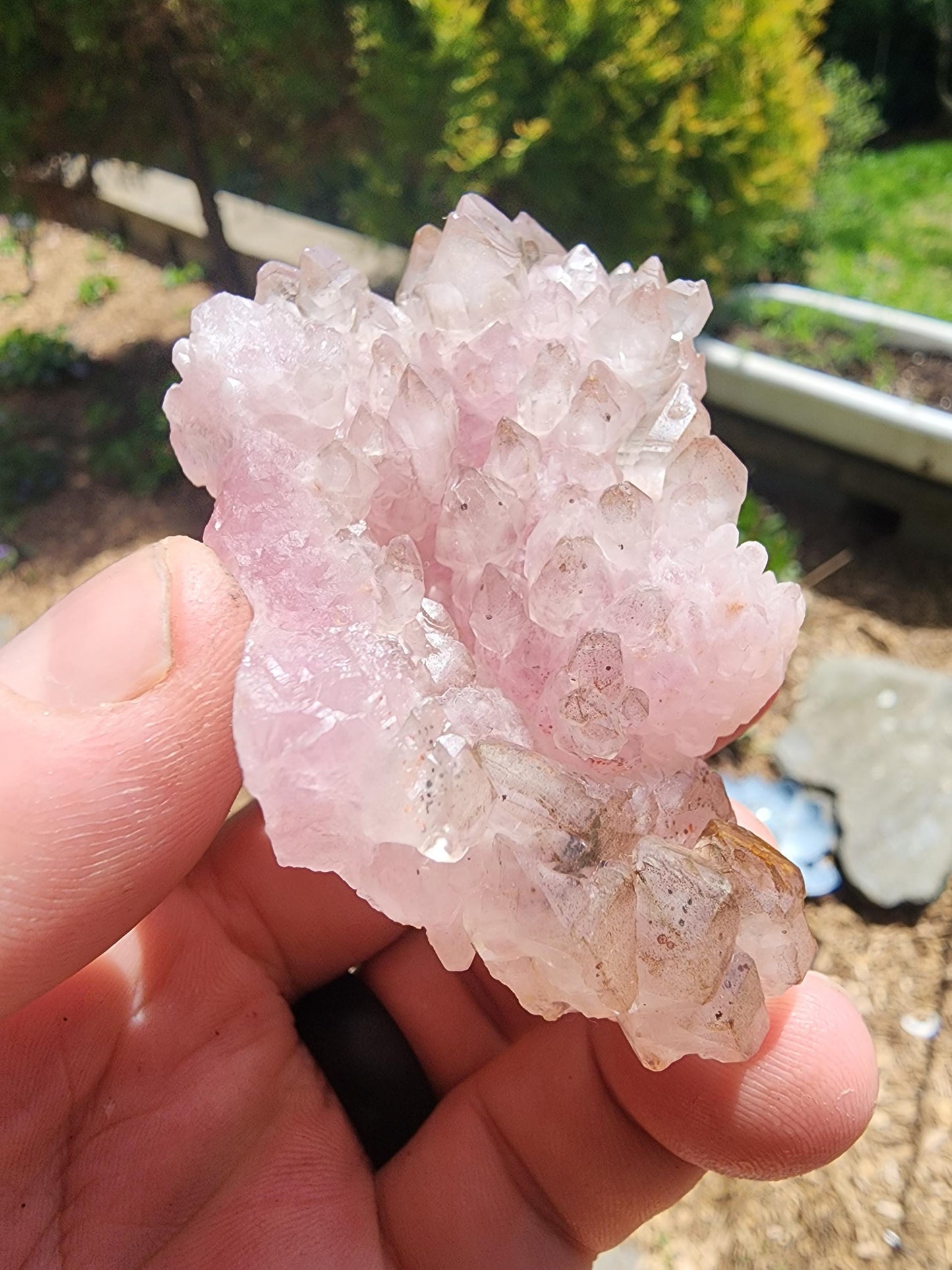 Crystallized Elestial Rose Quartz Cluster on Quartz from Pitorra Mine, Brazil