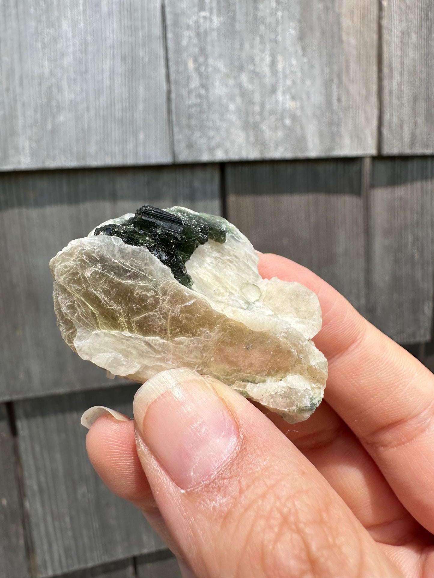 Tourmaline in Mica from Minas Gerais, Brazil