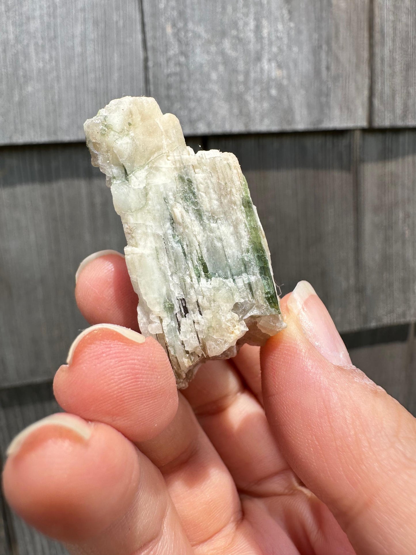 Tourmaline in Mica from Minas Gerais, Brazil
