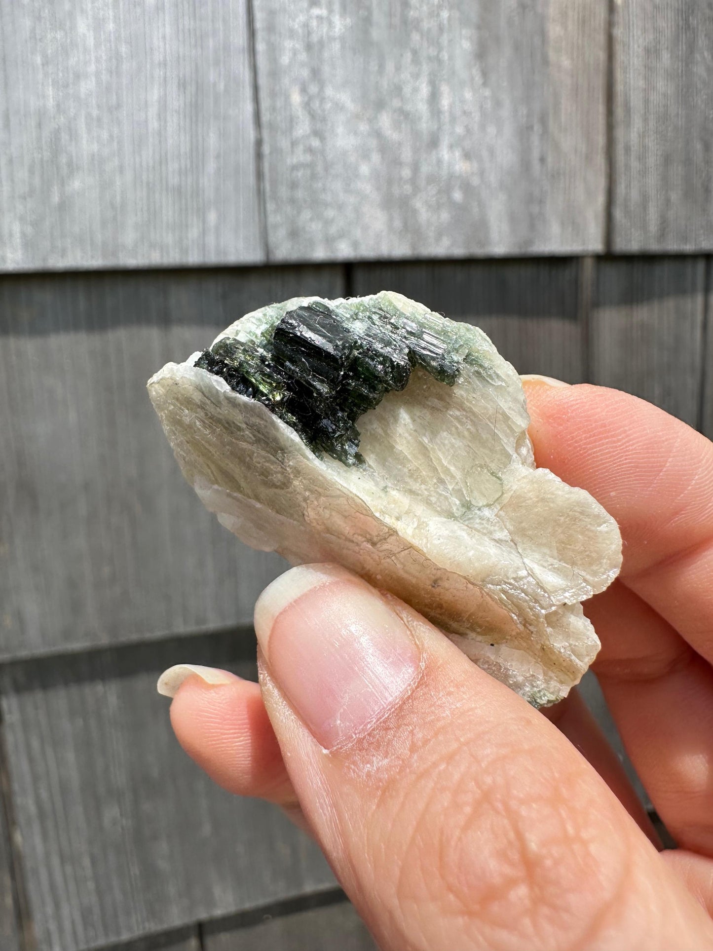 Tourmaline in Mica from Minas Gerais, Brazil