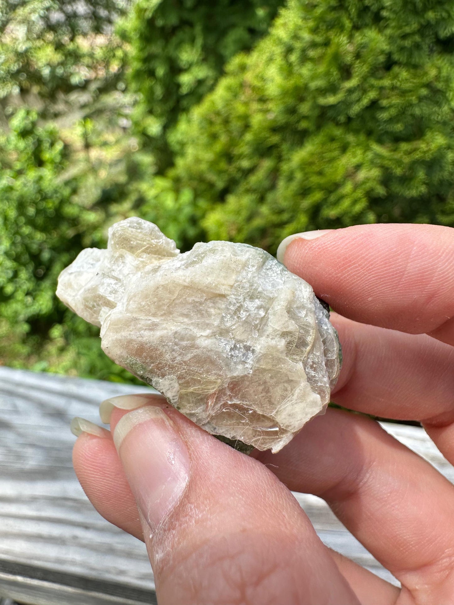 Tourmaline in Mica from Minas Gerais, Brazil
