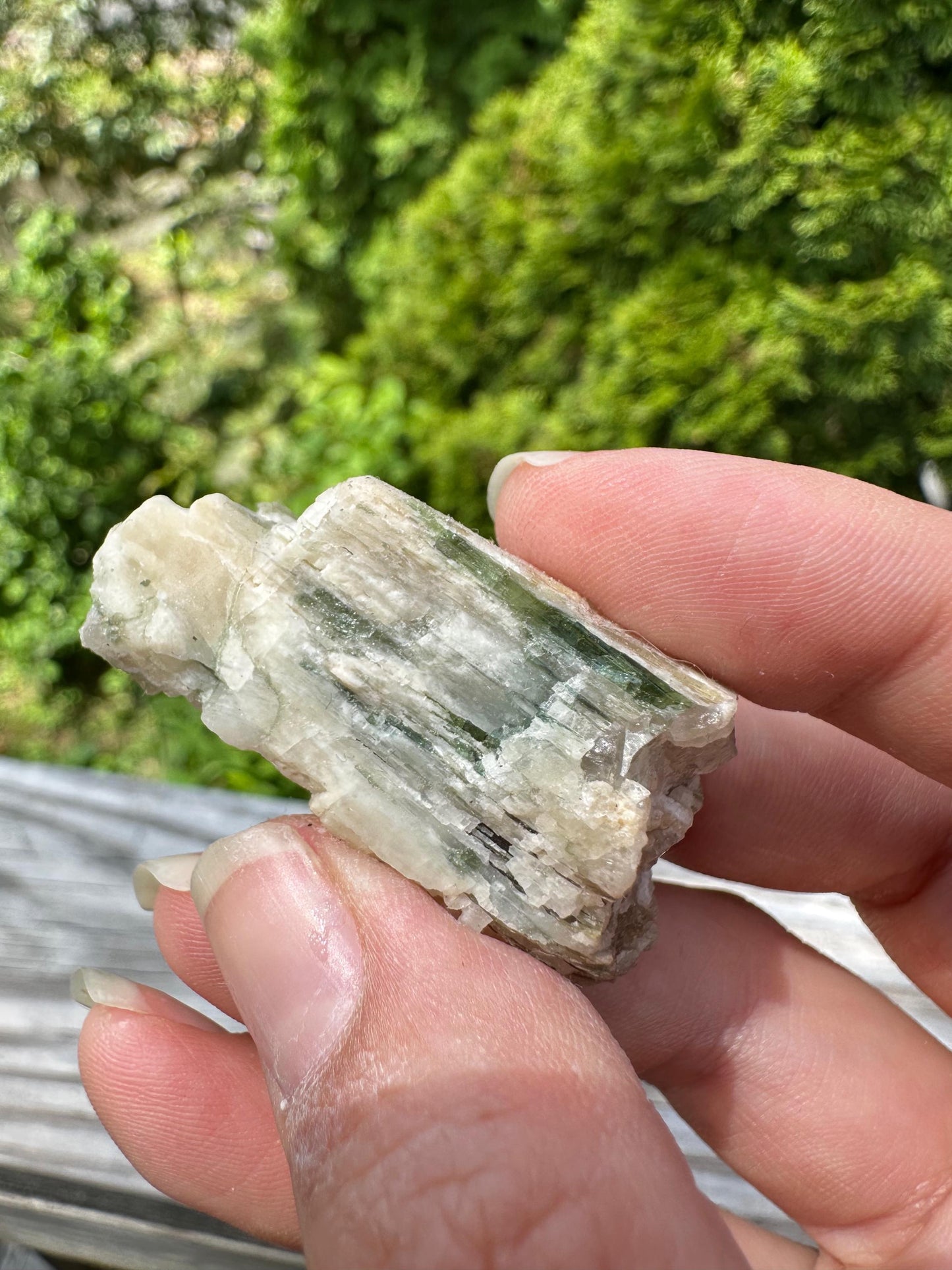 Tourmaline in Mica from Minas Gerais, Brazil