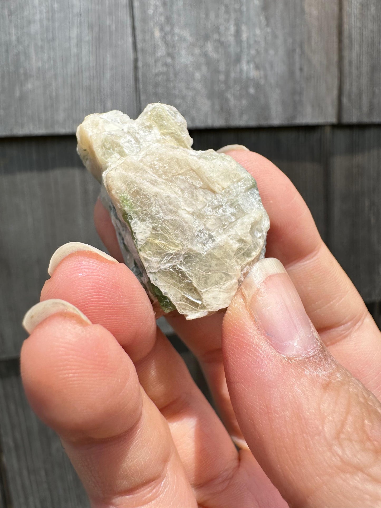 Tourmaline in Mica from Minas Gerais, Brazil
