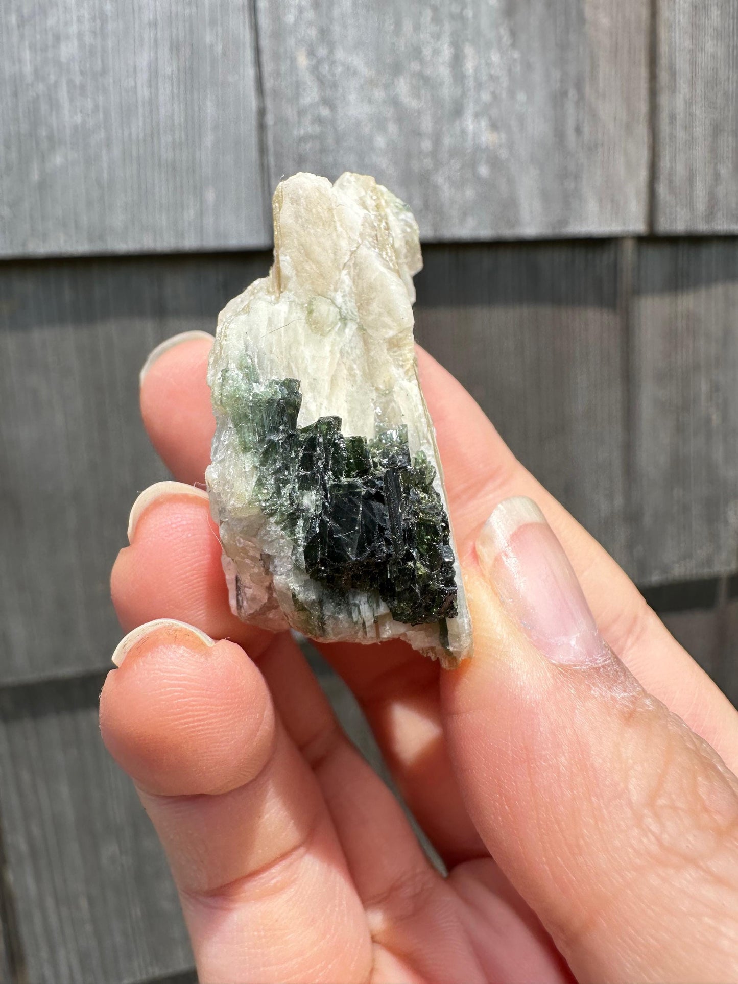 Tourmaline in Mica from Minas Gerais, Brazil