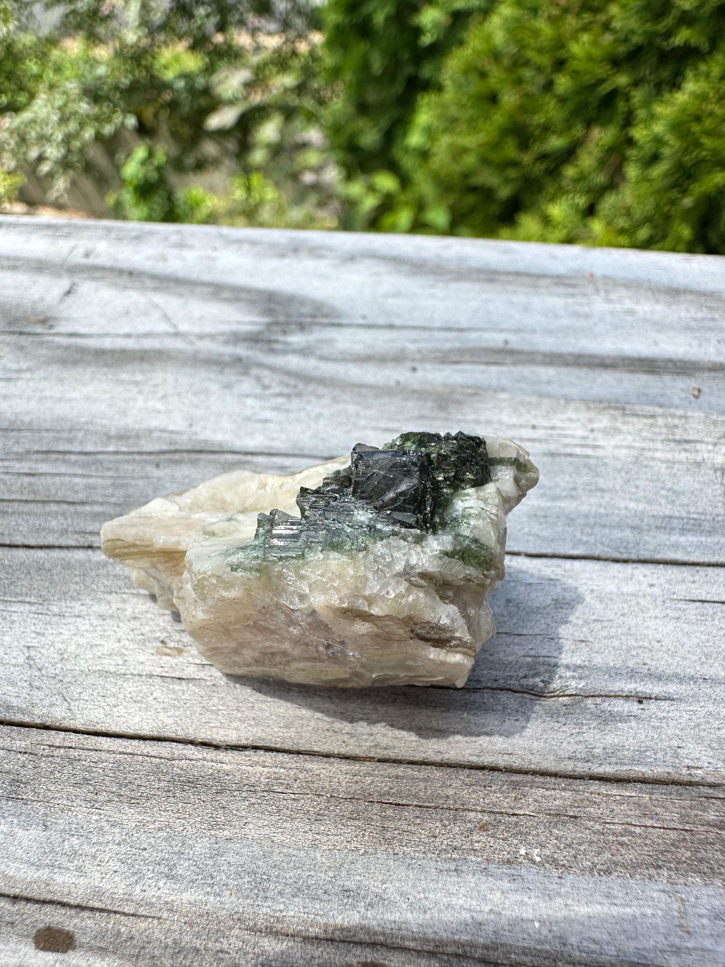 Tourmaline in Mica from Minas Gerais, Brazil