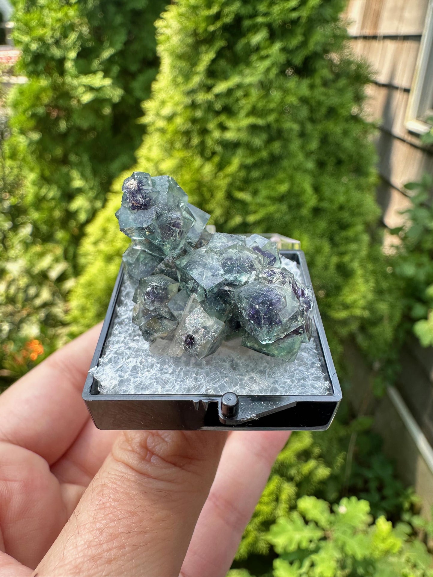 YGX Bismuthinite in Fluorite from China