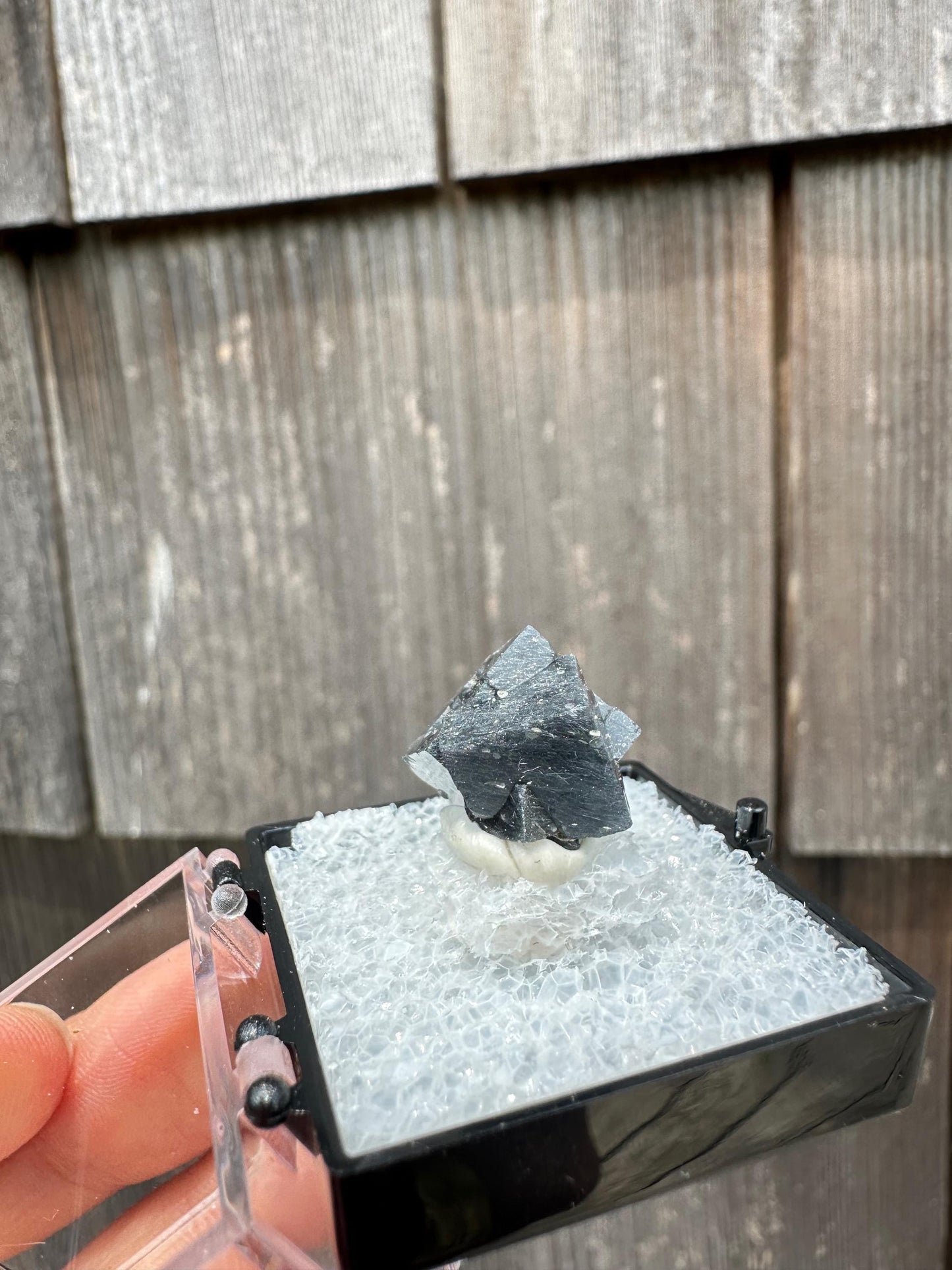 YGX Bismuthinite in Fluorite from China