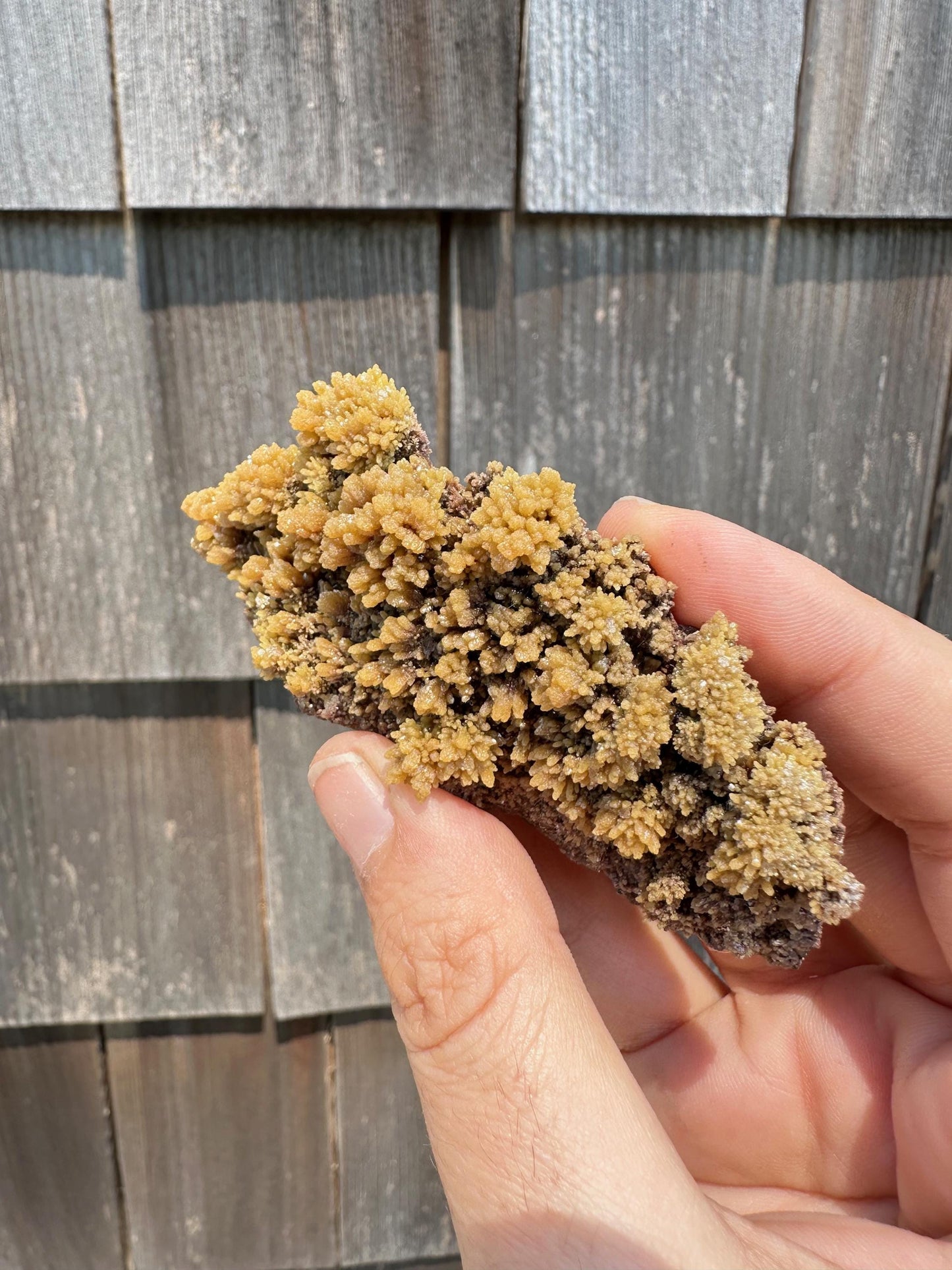 Old Collection Mimetite from Ojuela Mine Mexico