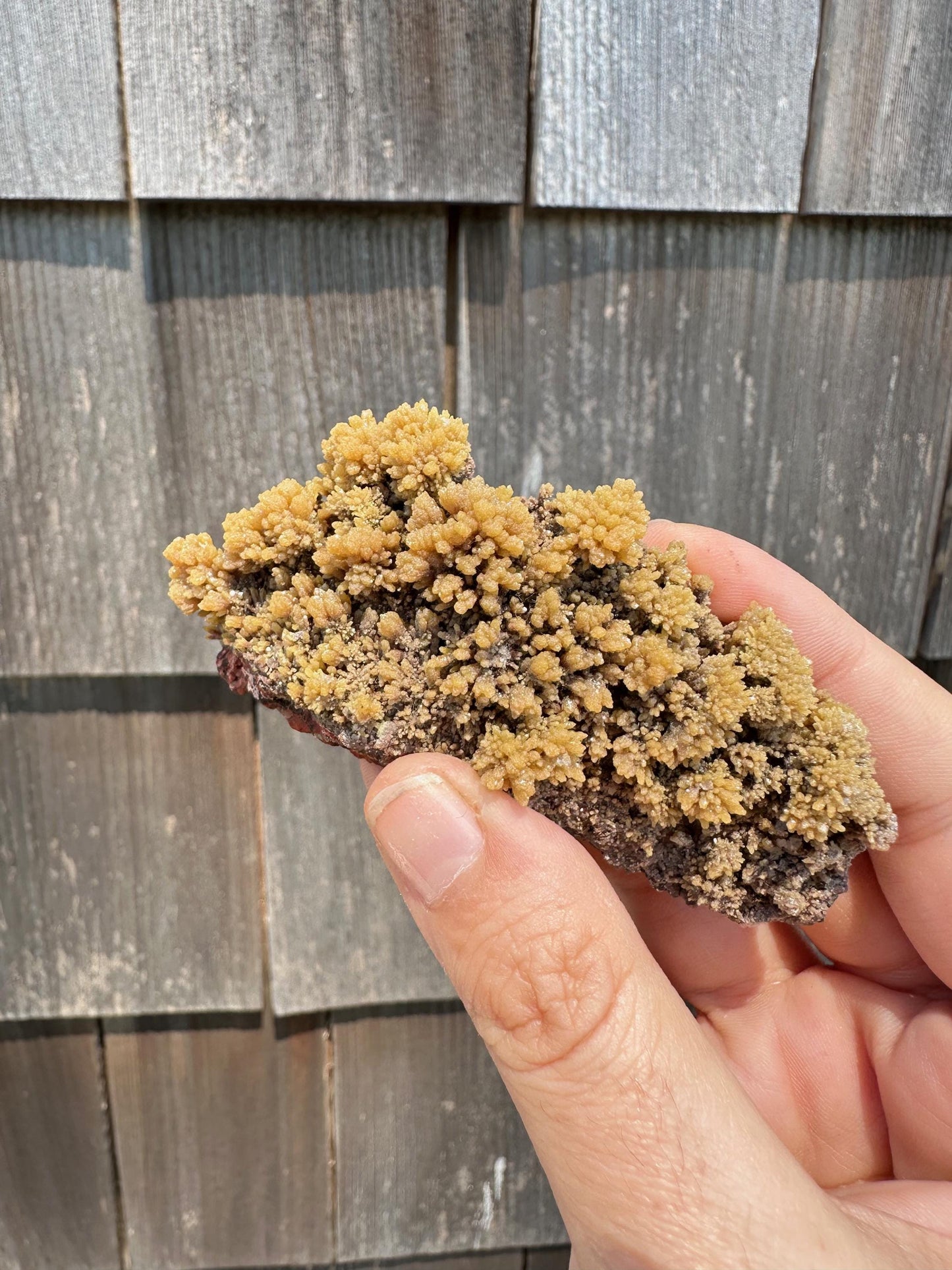 Old Collection Mimetite from Ojuela Mine Mexico