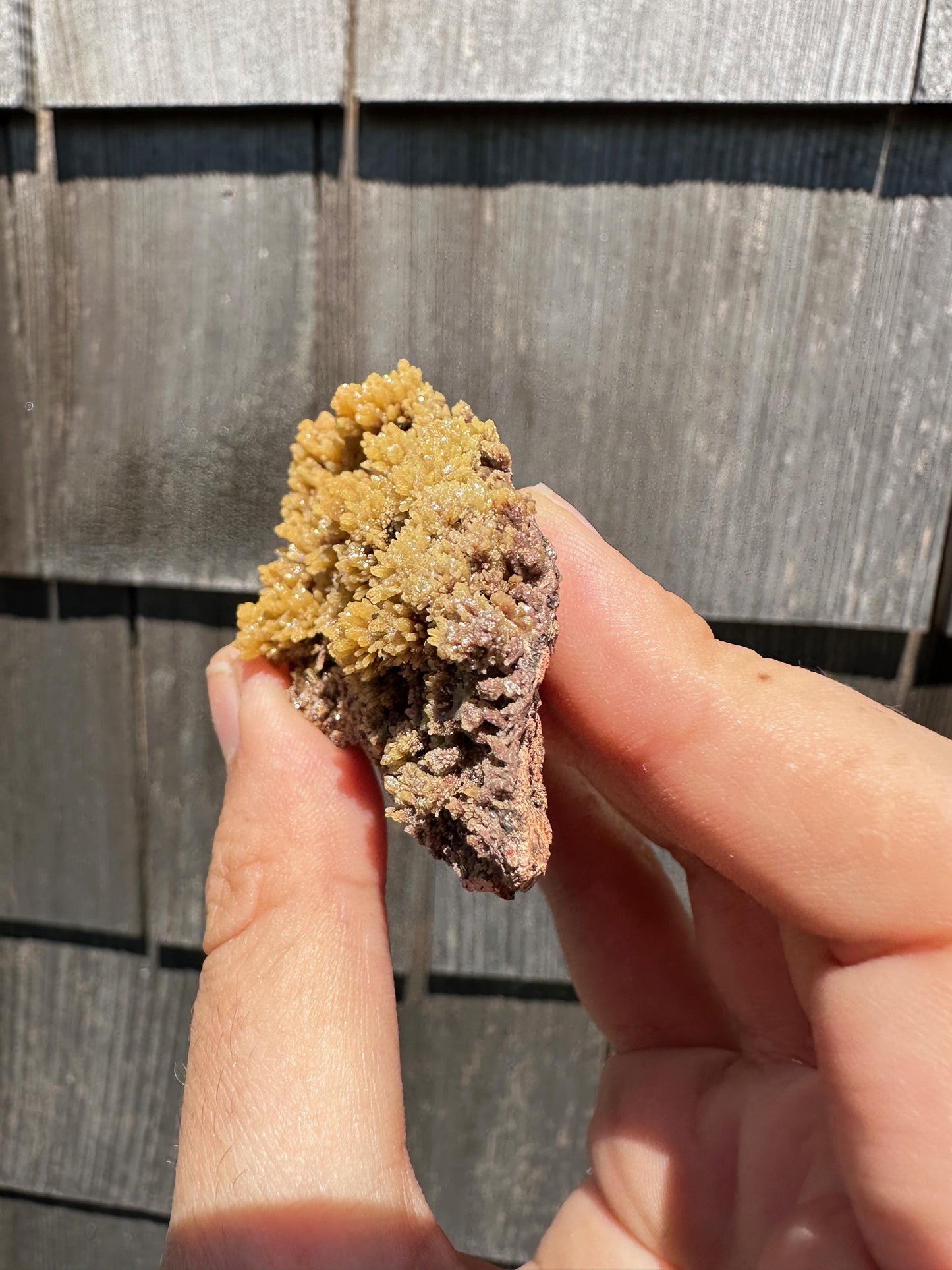 Old Collection Mimetite from Ojuela Mine Mexico