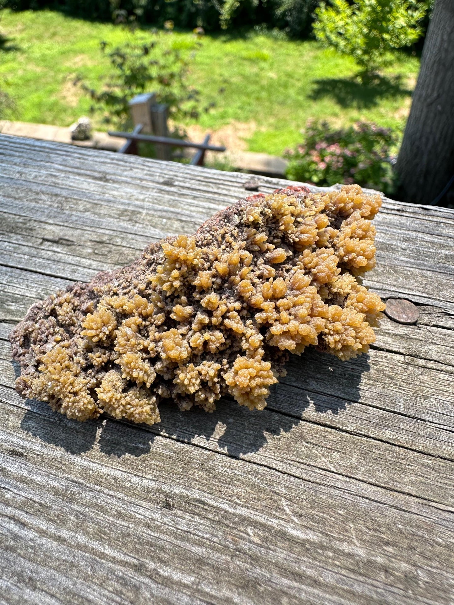 Old Collection Mimetite from Ojuela Mine Mexico